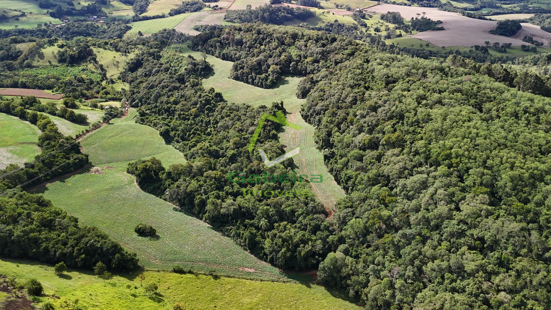 Gabeira Im�veis em Coronel Vivida PR