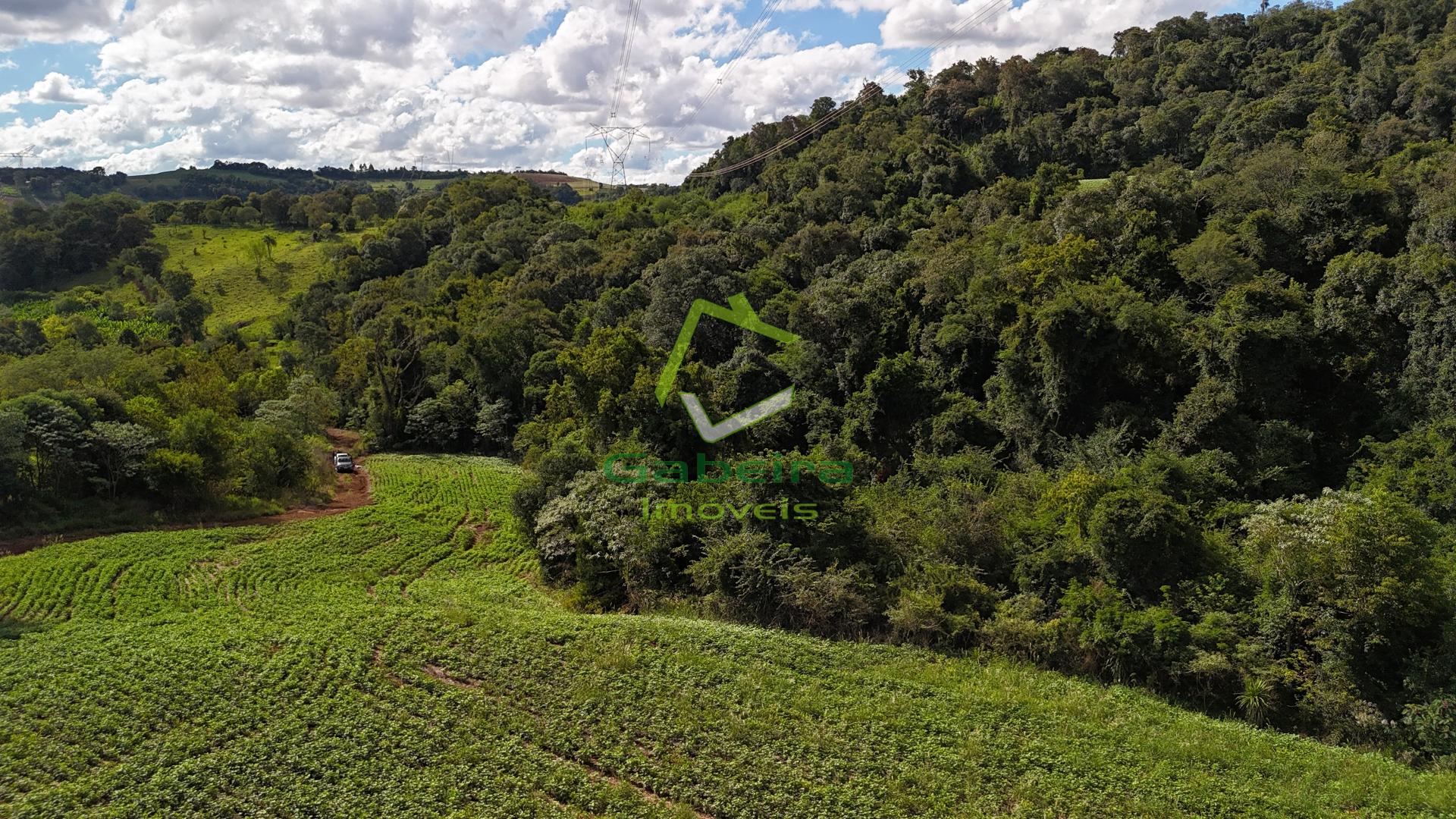 Gabeira Im�veis em Coronel Vivida PR