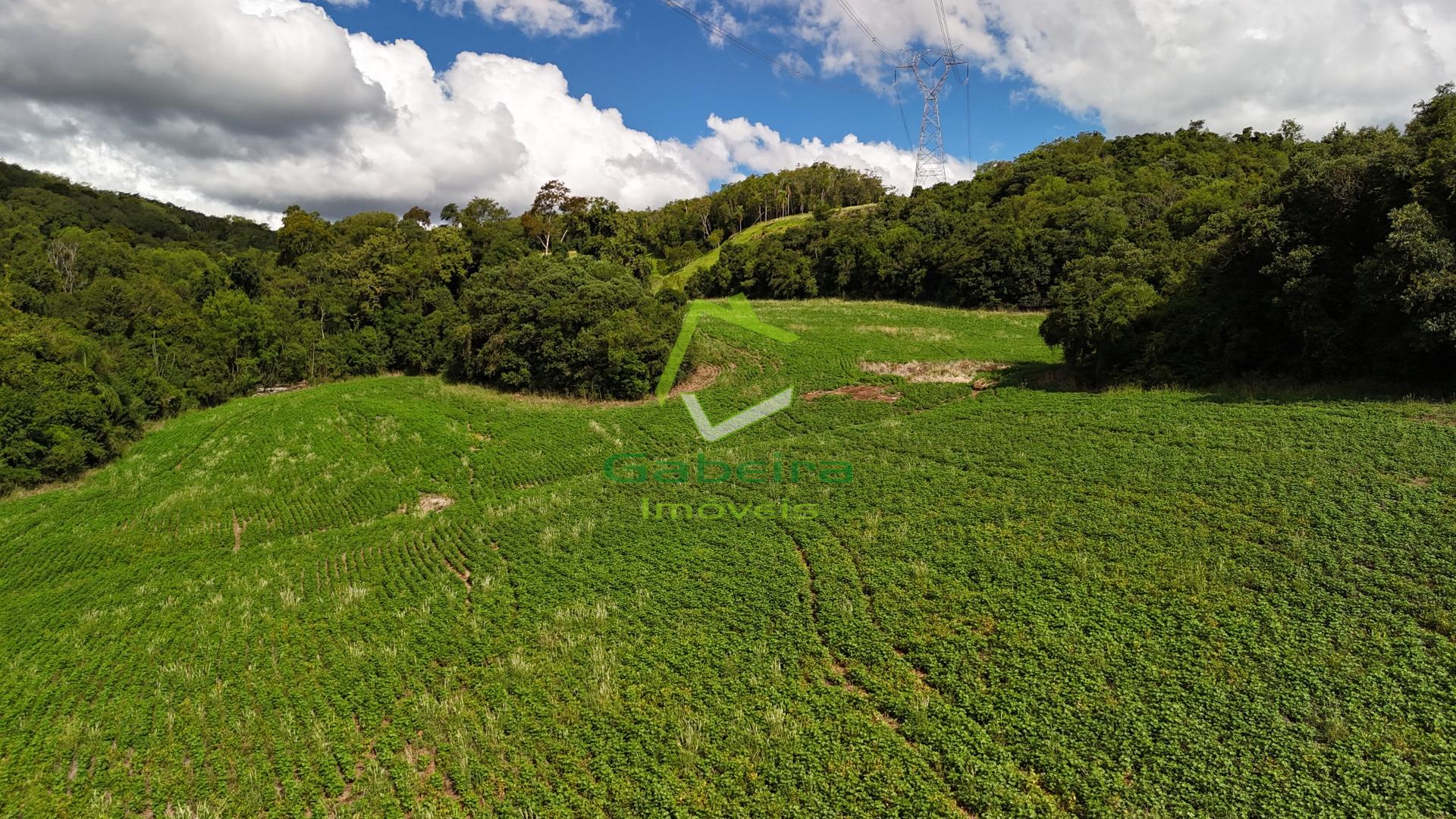 Gabeira Im�veis em Coronel Vivida PR