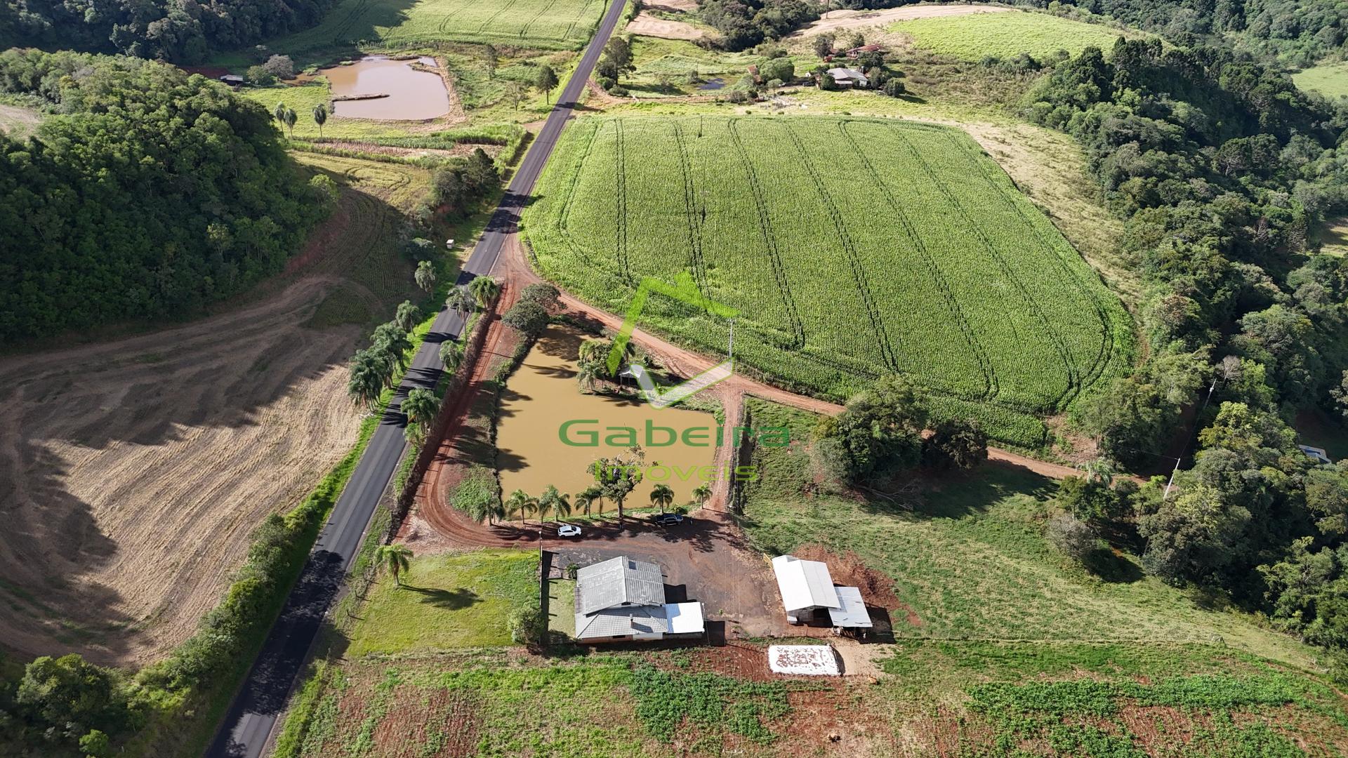 Gabeira Im�veis em Coronel Vivida PR