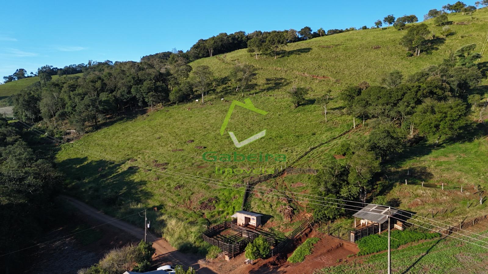 Gabeira Im�veis em Coronel Vivida PR