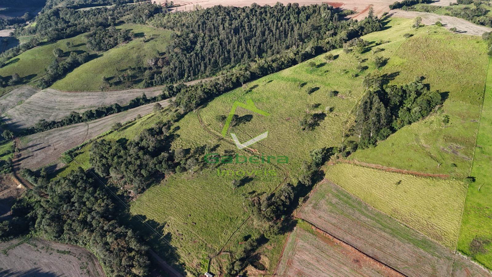 Gabeira Im�veis em Coronel Vivida PR