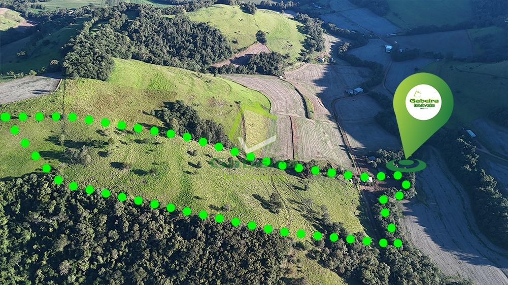 Gabeira Im�veis em Coronel Vivida PR