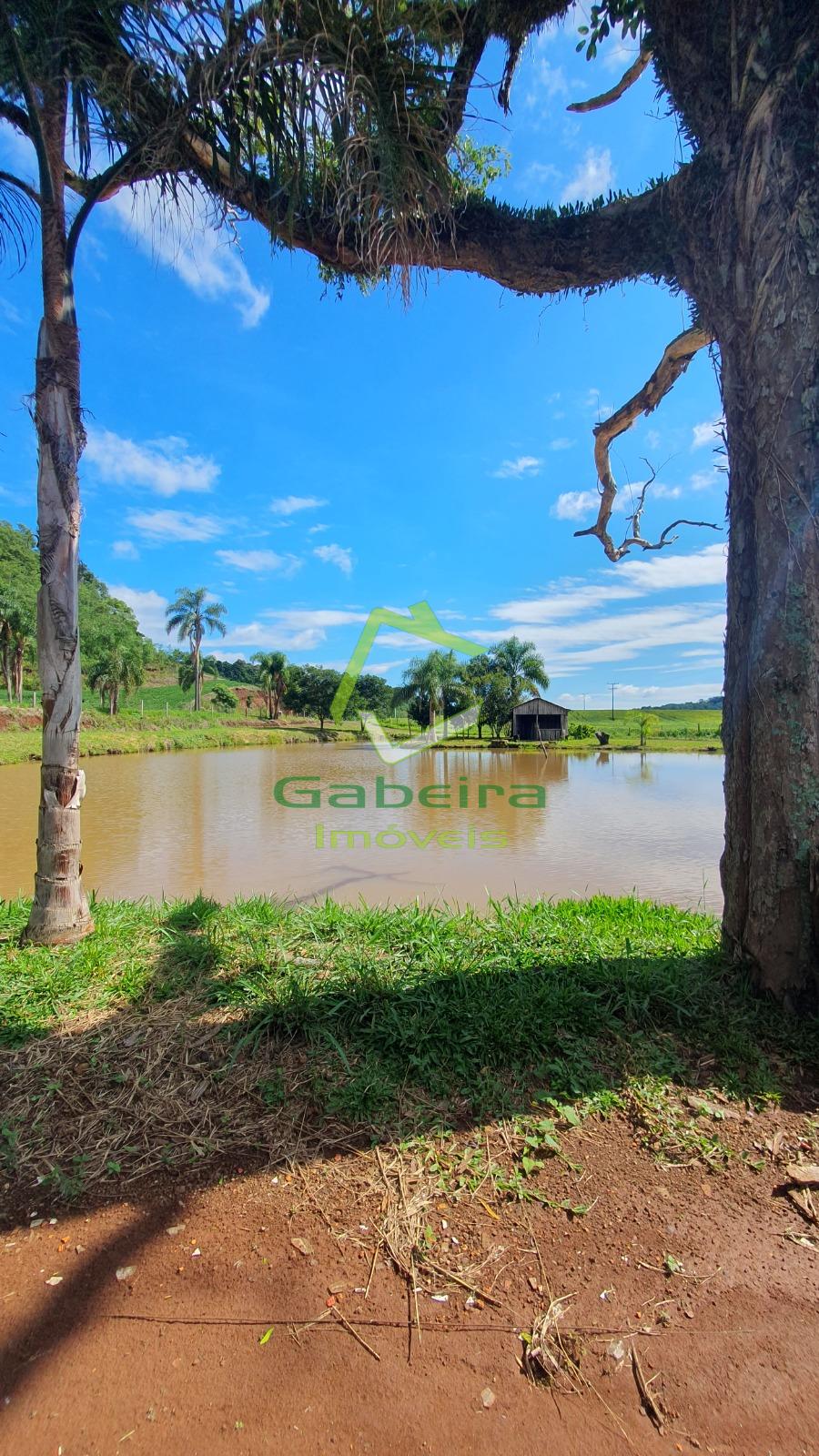 Gabeira Im�veis em Coronel Vivida PR