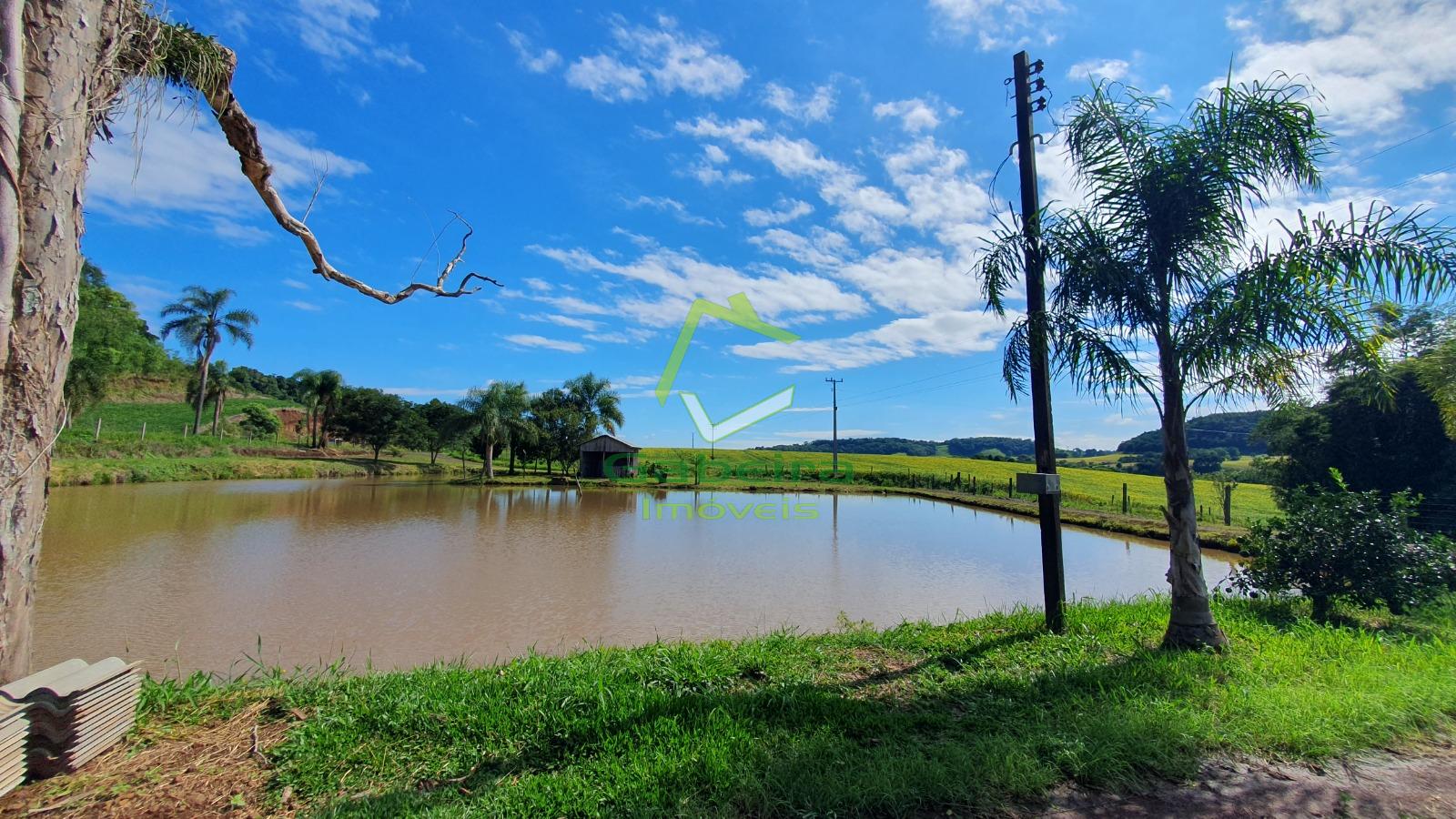 Gabeira Im�veis em Coronel Vivida PR