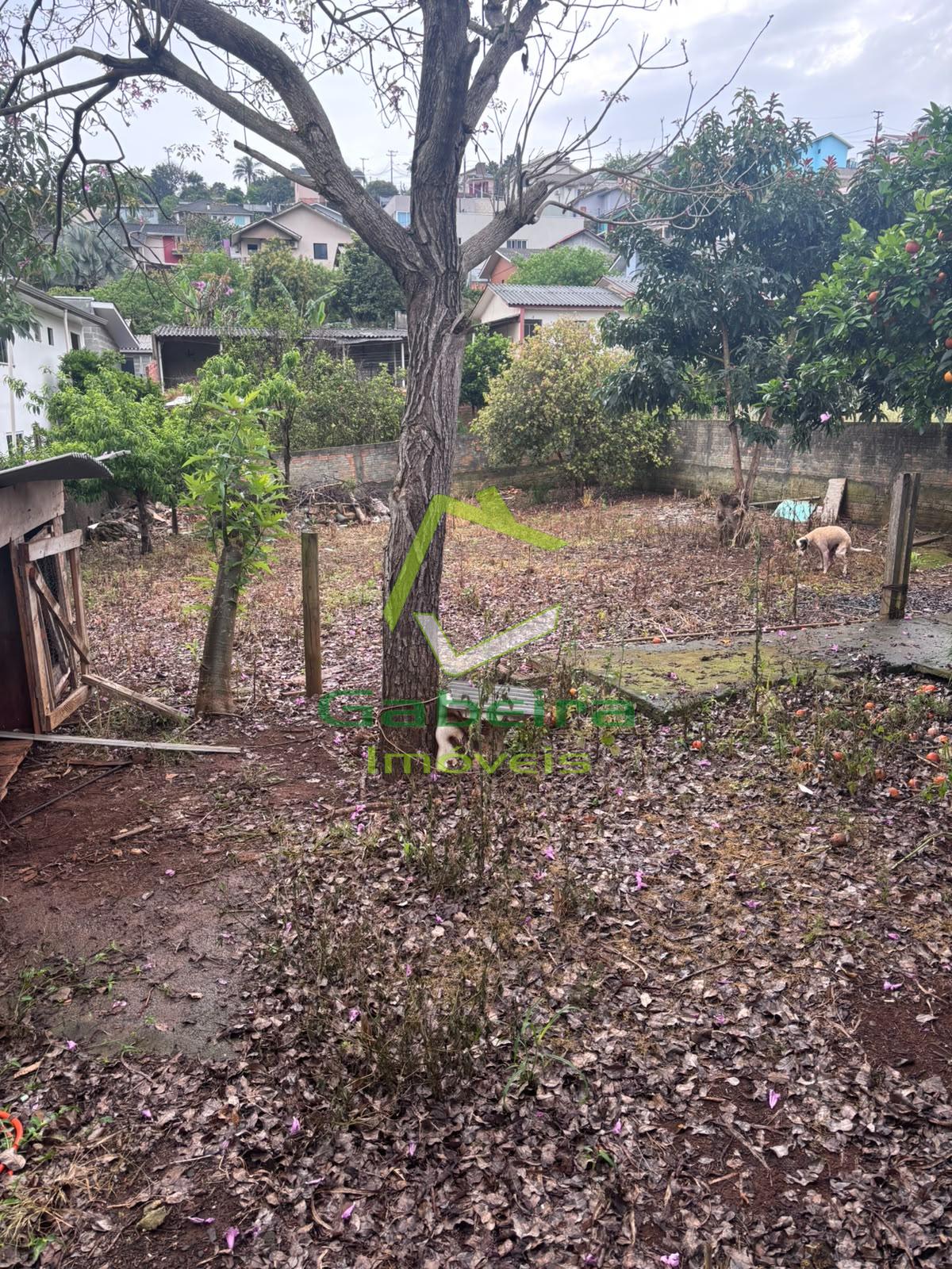 Gabeira Im�veis em Coronel Vivida PR