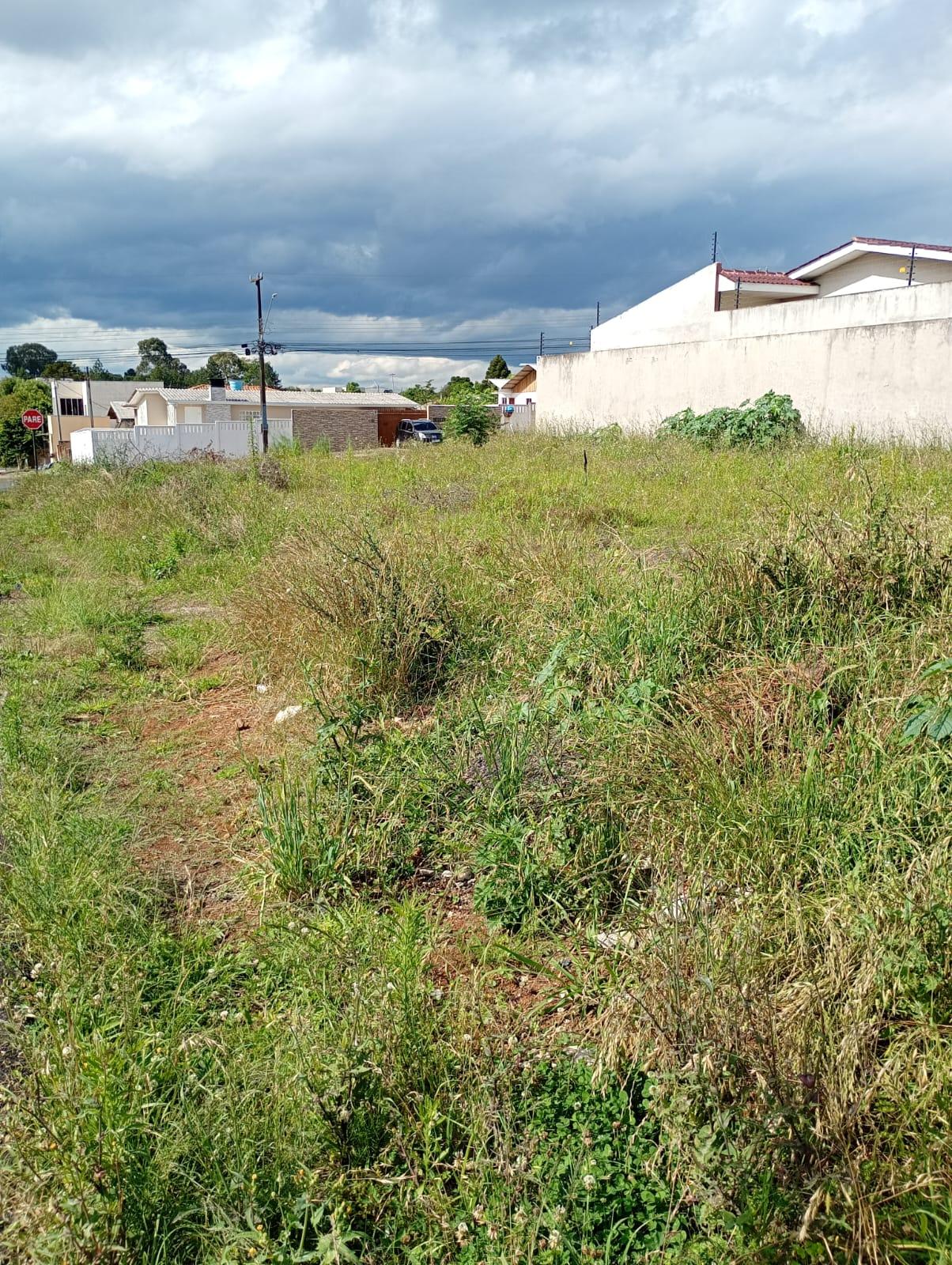 Terreno à venda, ALTO CASCAVEL, GUARAPUAVA - PR