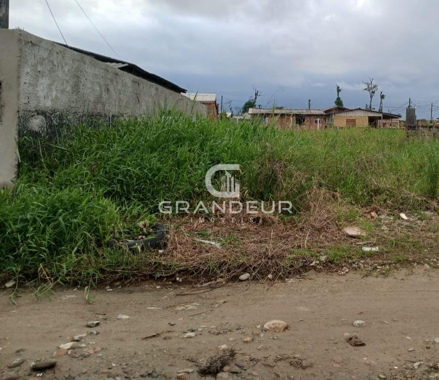 Terreno à Venda no Bairro Cohapar Oportunidade   