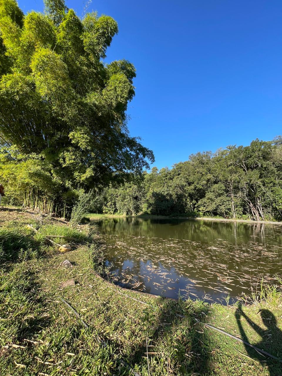 LOTE À VENDA CHÁCARA QUINTA DA BOA VISTA, SÃO SEBASTIÃO DO PAR...
