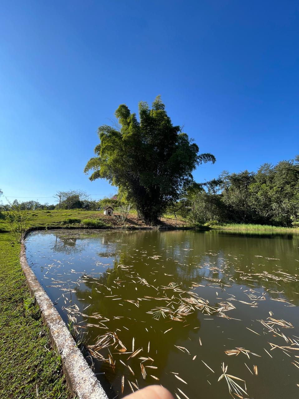 LOTE À VENDA CHÁCARA QUINTA DA BOA VISTA, SÃO SEBASTIÃO DO PAR...