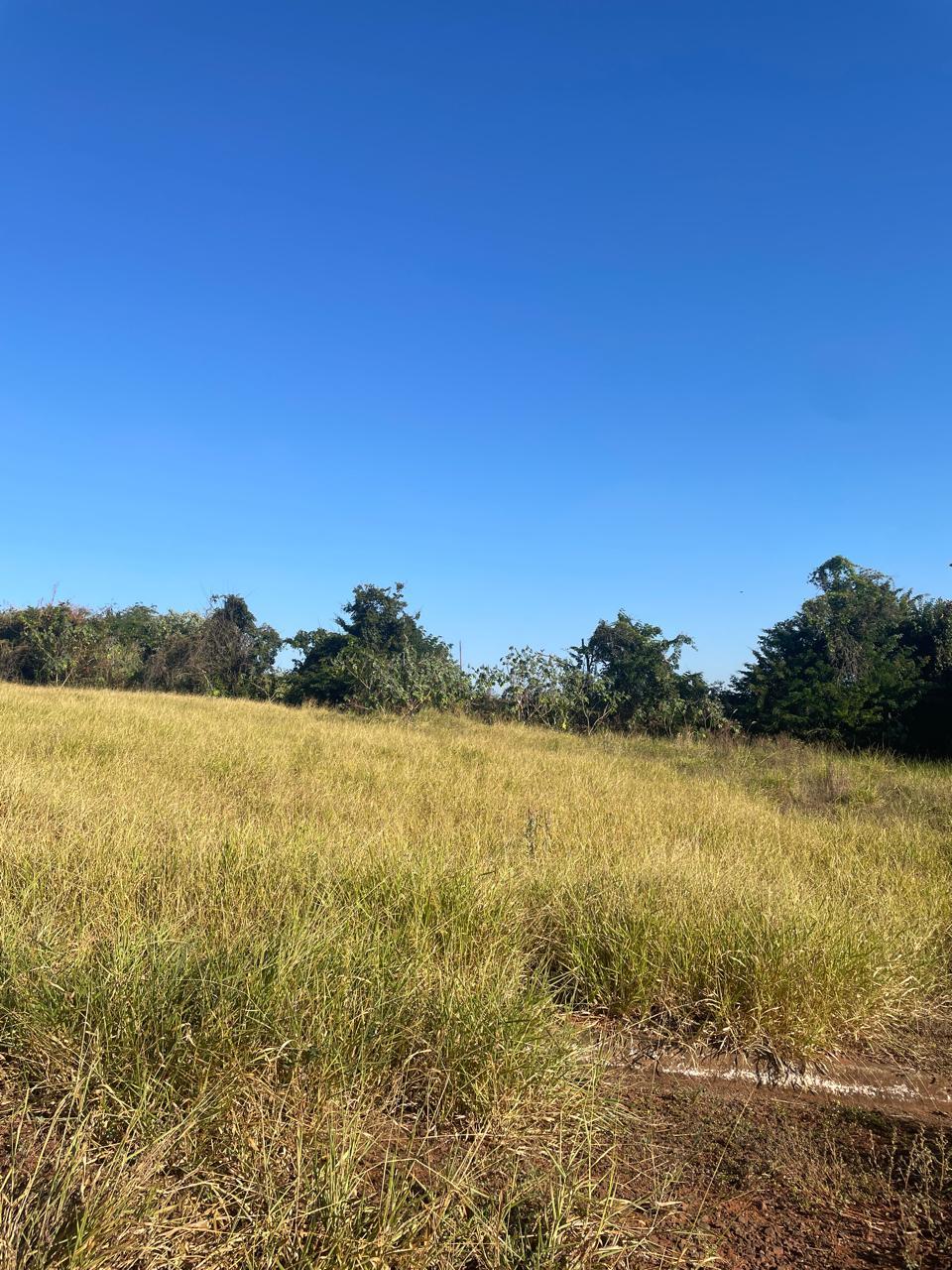 LOTE À VENDA CHÁCARA QUINTA DA BOA VISTA, SÃO SEBASTIÃO DO PAR...