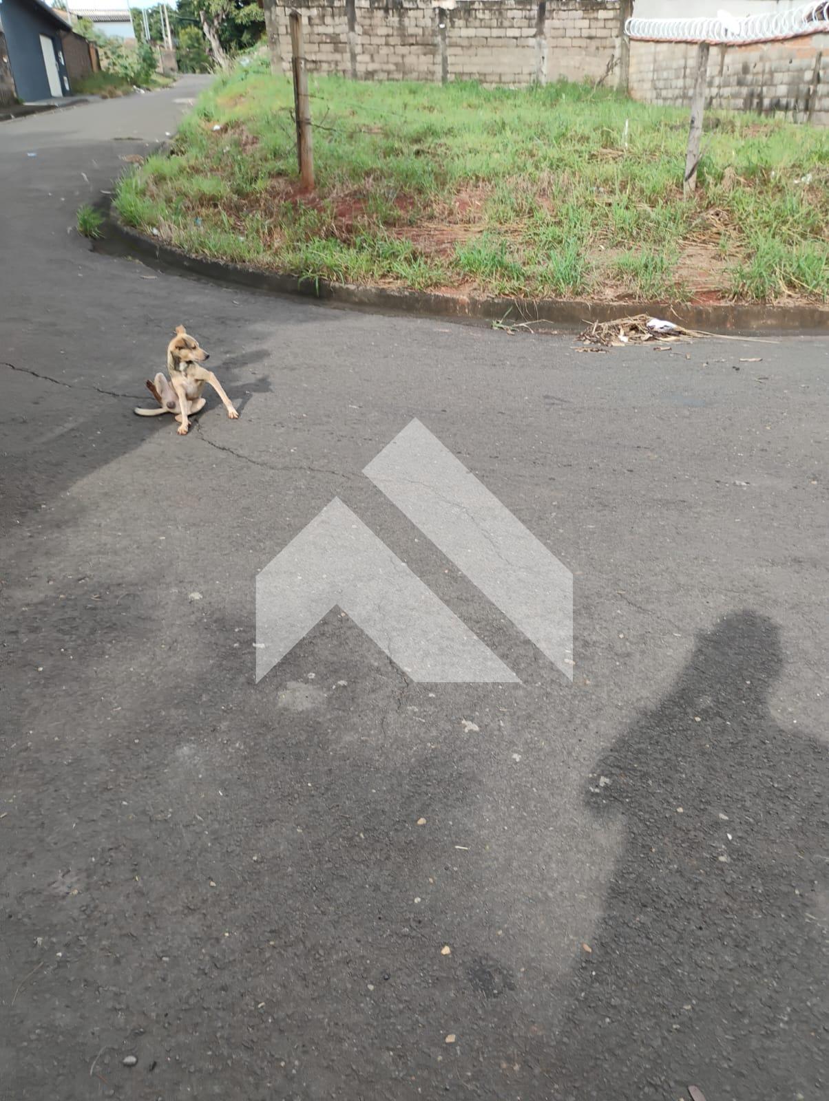 LOTE À VENDA BAIRRO SÃO SEBASTIÃO, SÃO SEBASTIÃO DO PARAÍSO - MG