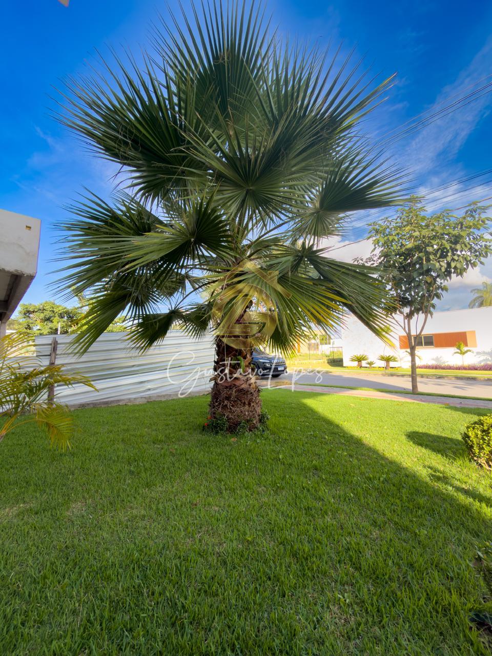 RESIDNCIA EXCLUSIVA NO GRAN ROYALLE BETIM COM EXCELENTE ARQUITETURA, TECNOLOGIA E SOFISTICAO