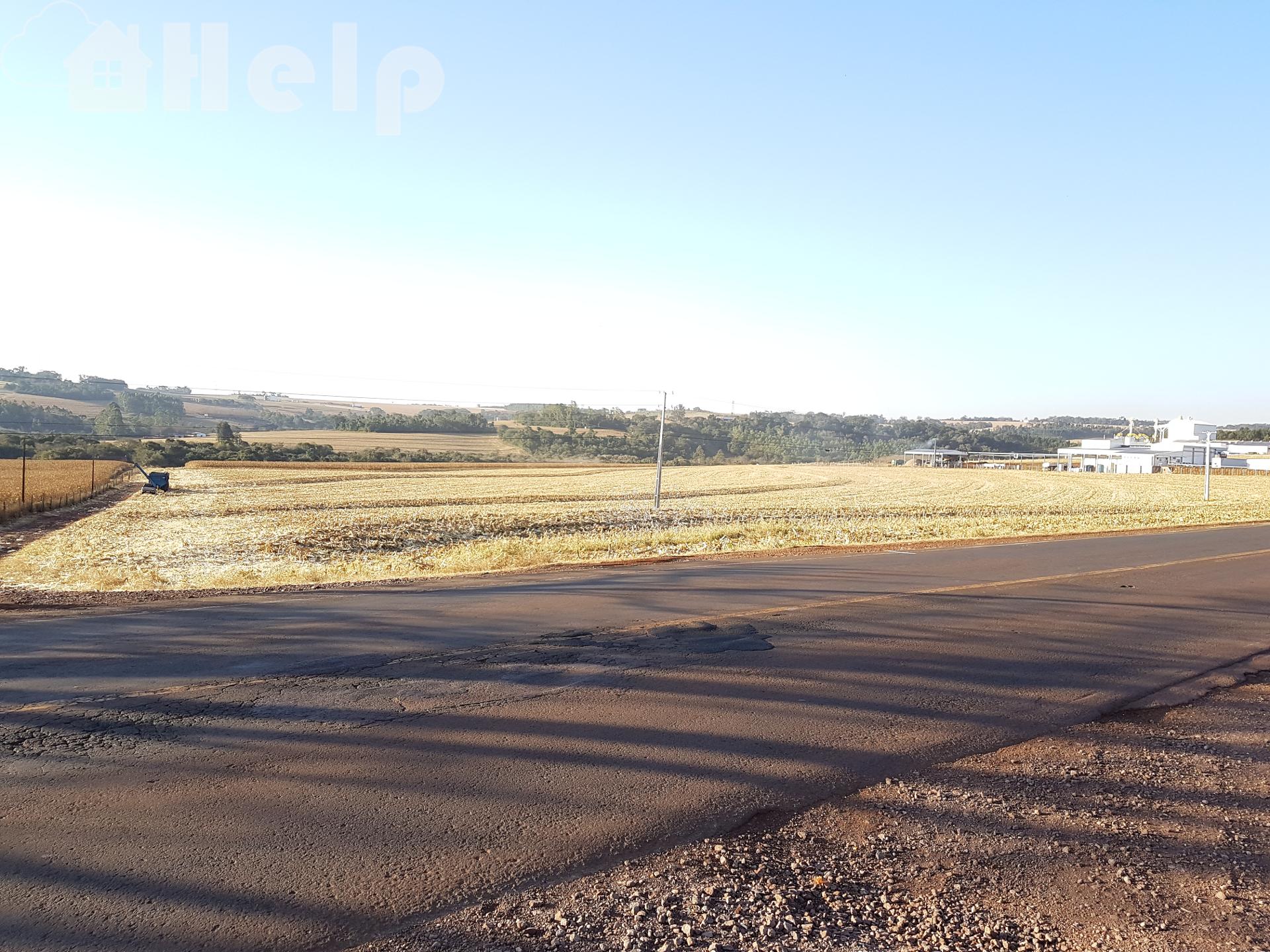 Excelente Oportunidade de Investimento - Frente para a PR 317 Toledo-Ouro Verde