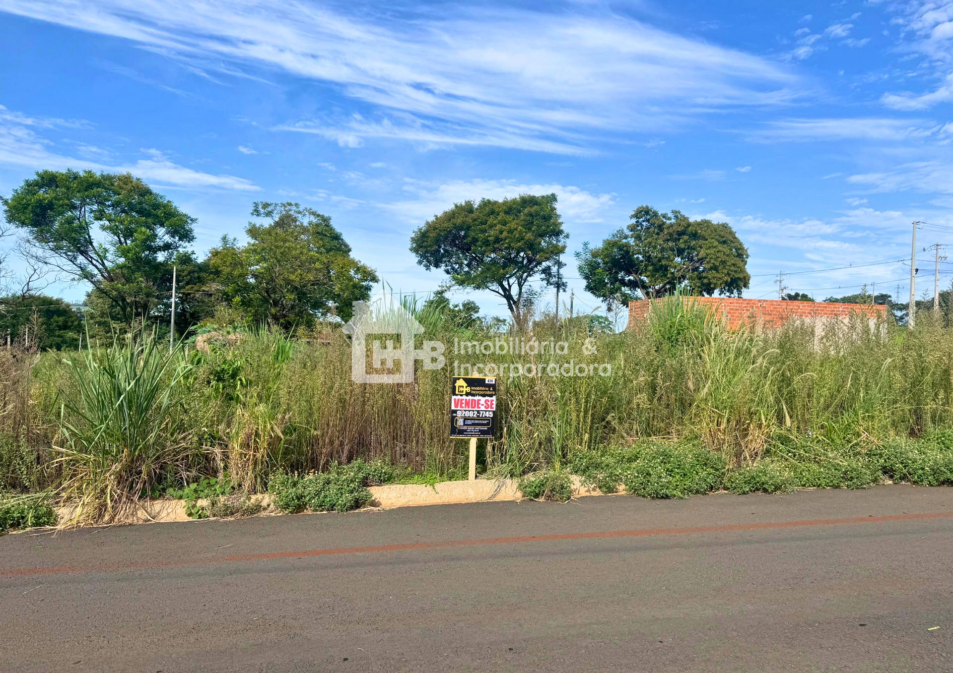 Oportunidade Imperdível  Terrenos em Loteamento Damin em São M...