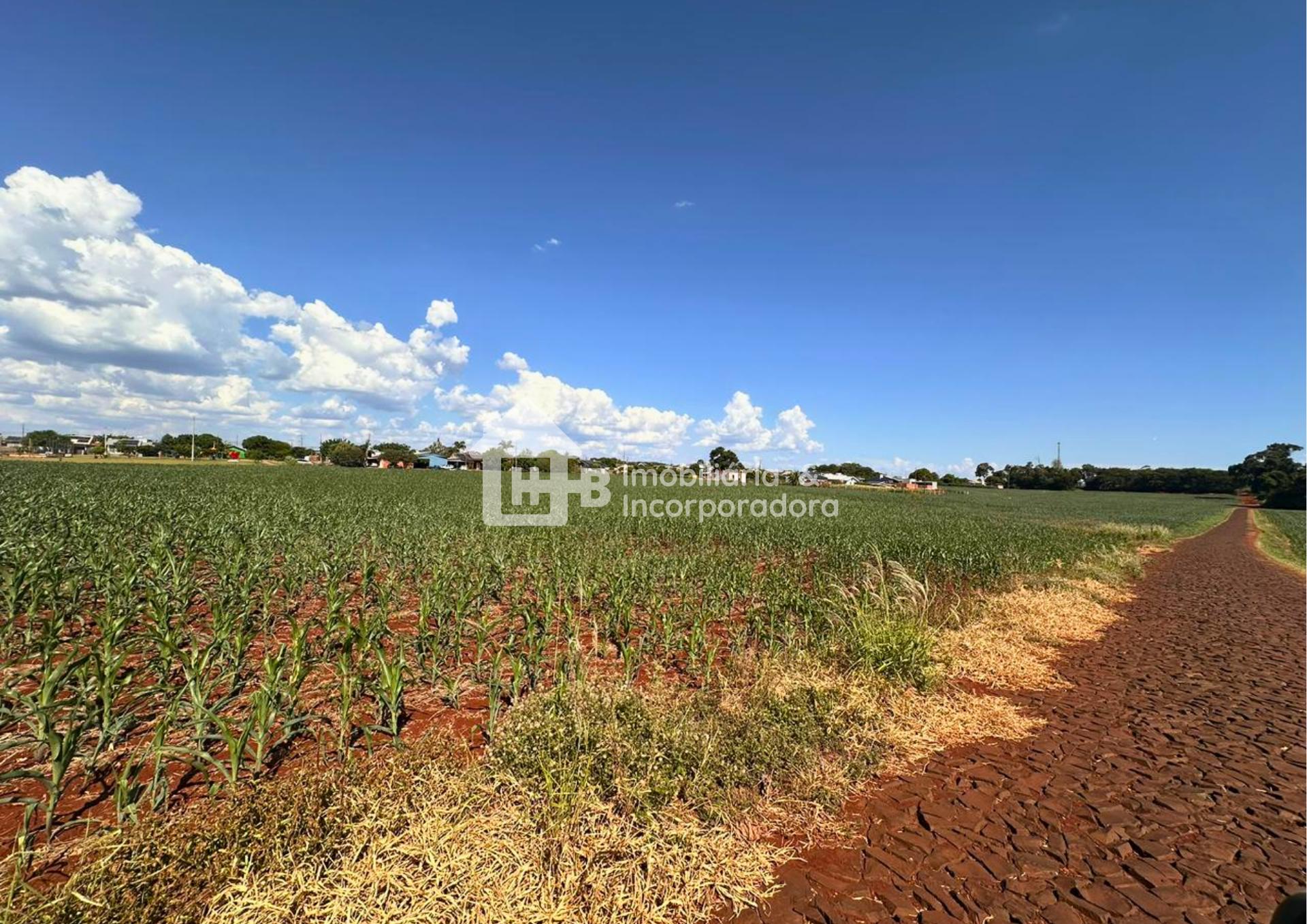 OPORTUNIDADE LOTE A VENDA NO BAIRRO PIONEIROS EM ITAIPULÂNDIA-PR