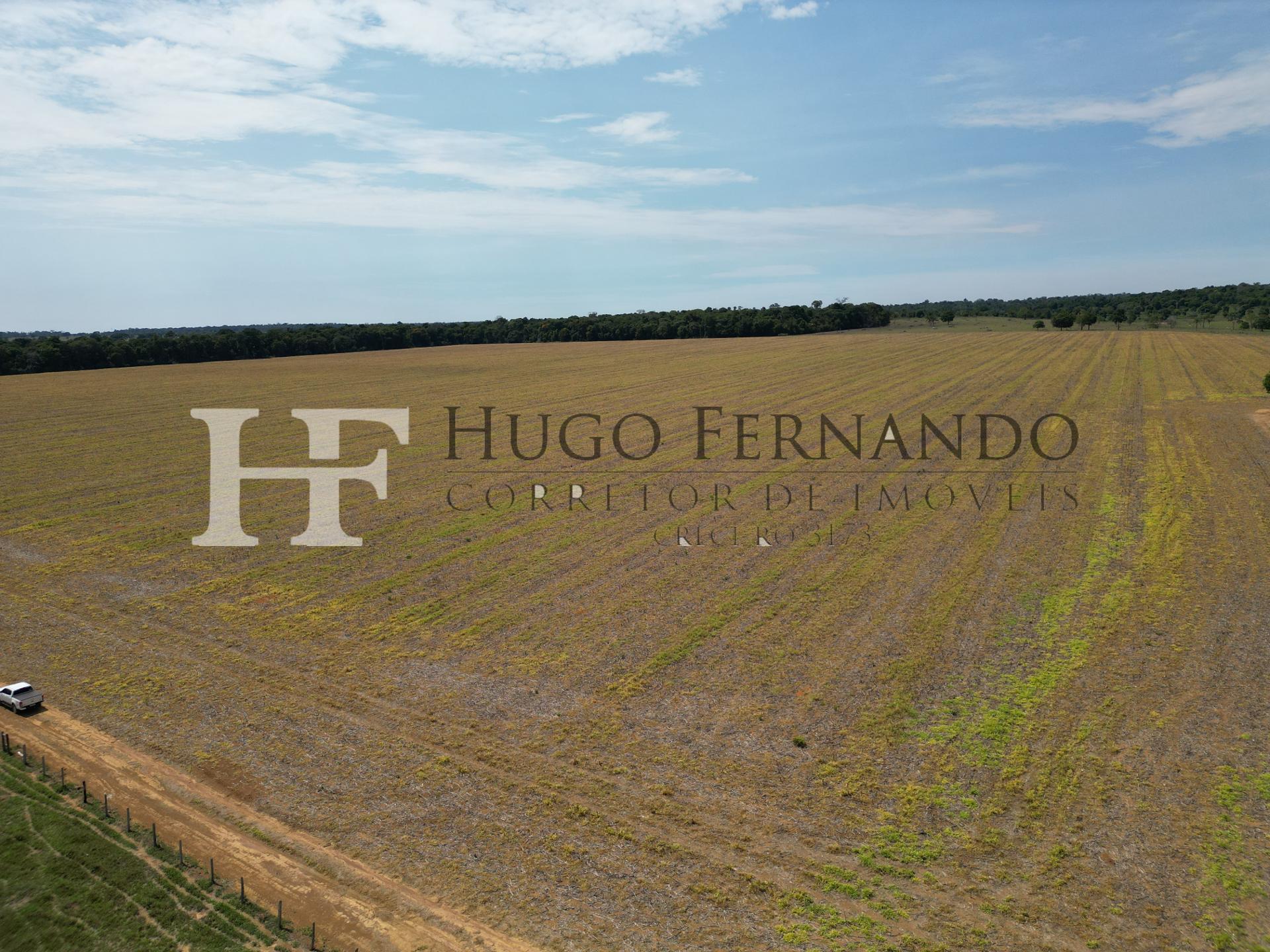 23,61 Hectares em Rolim de Moura já plantando
