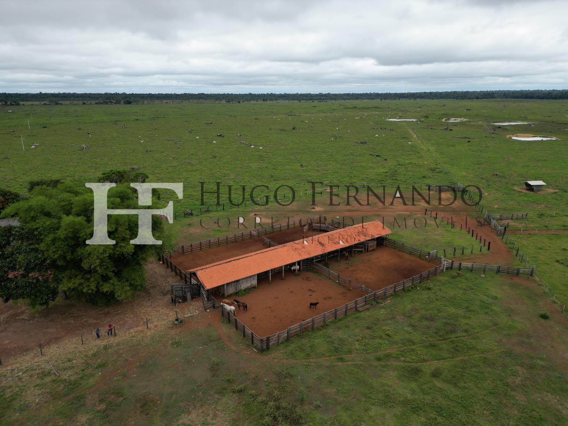 1306,8 Hectares em São Miguel do Guaporé, dupla aptidão