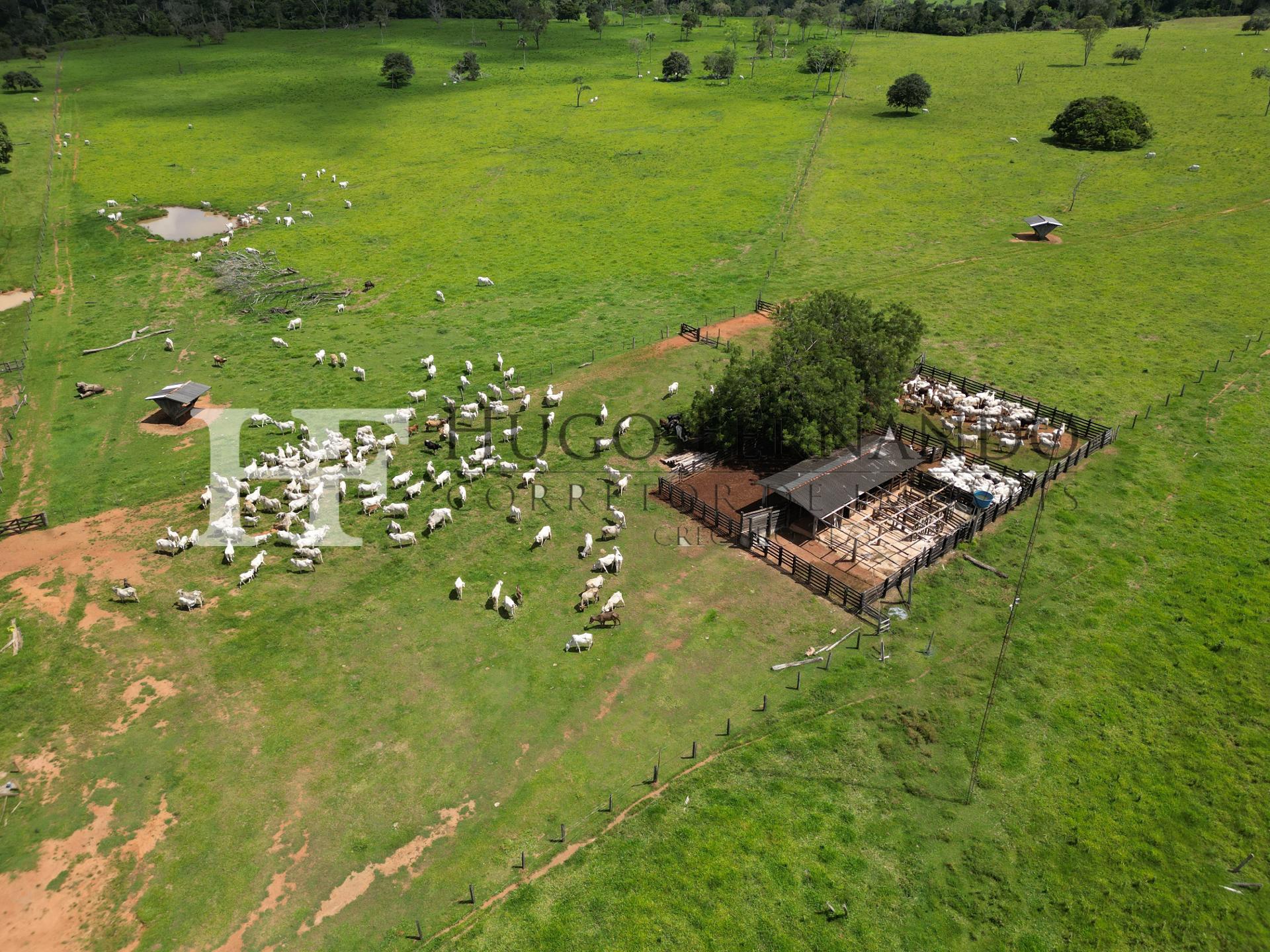298,87 Hectares em Rolim de Moura, dupla aptid?o