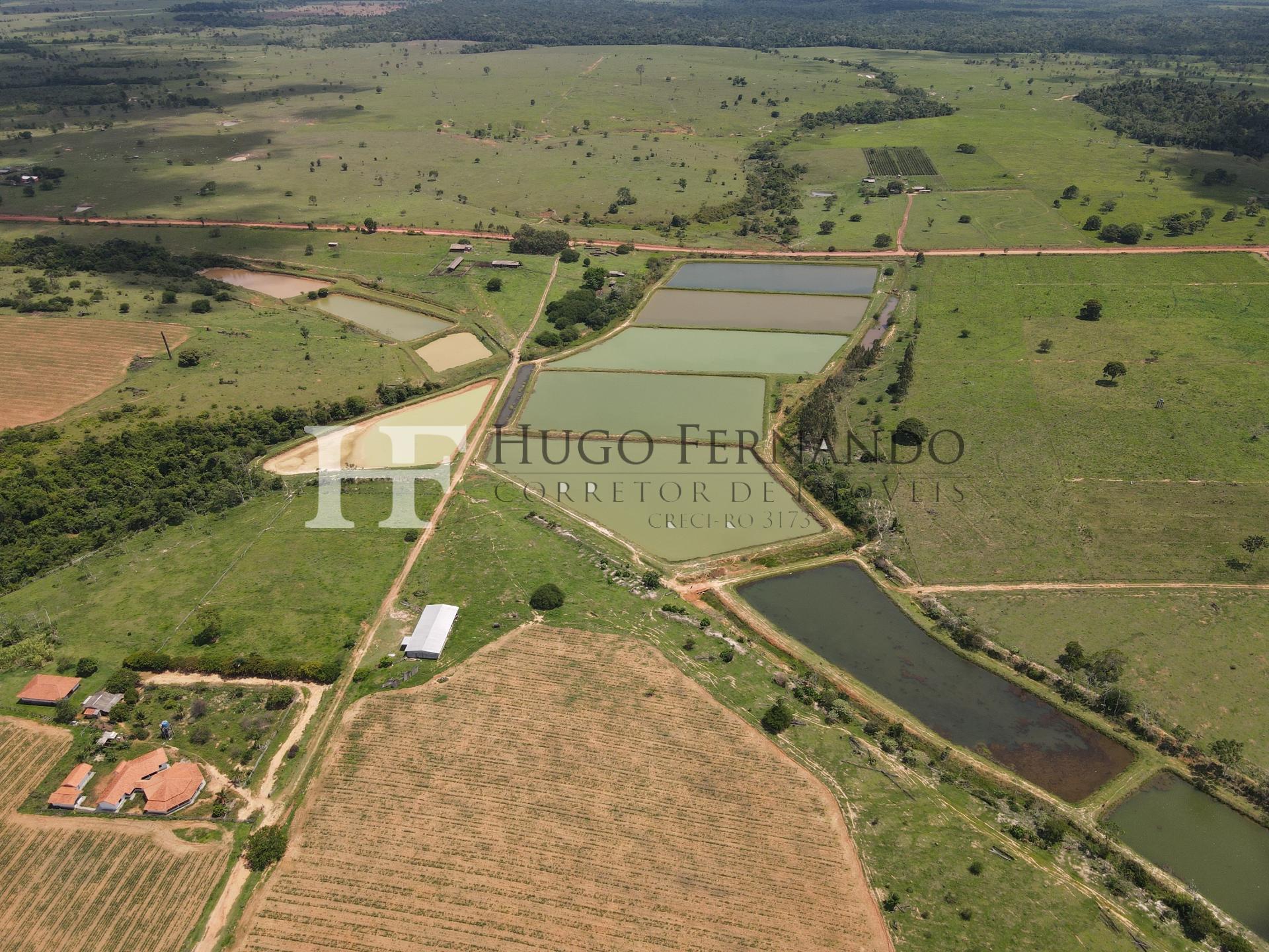 152 Hectares em Alvorada DOeste, pronta para psicultura e leite