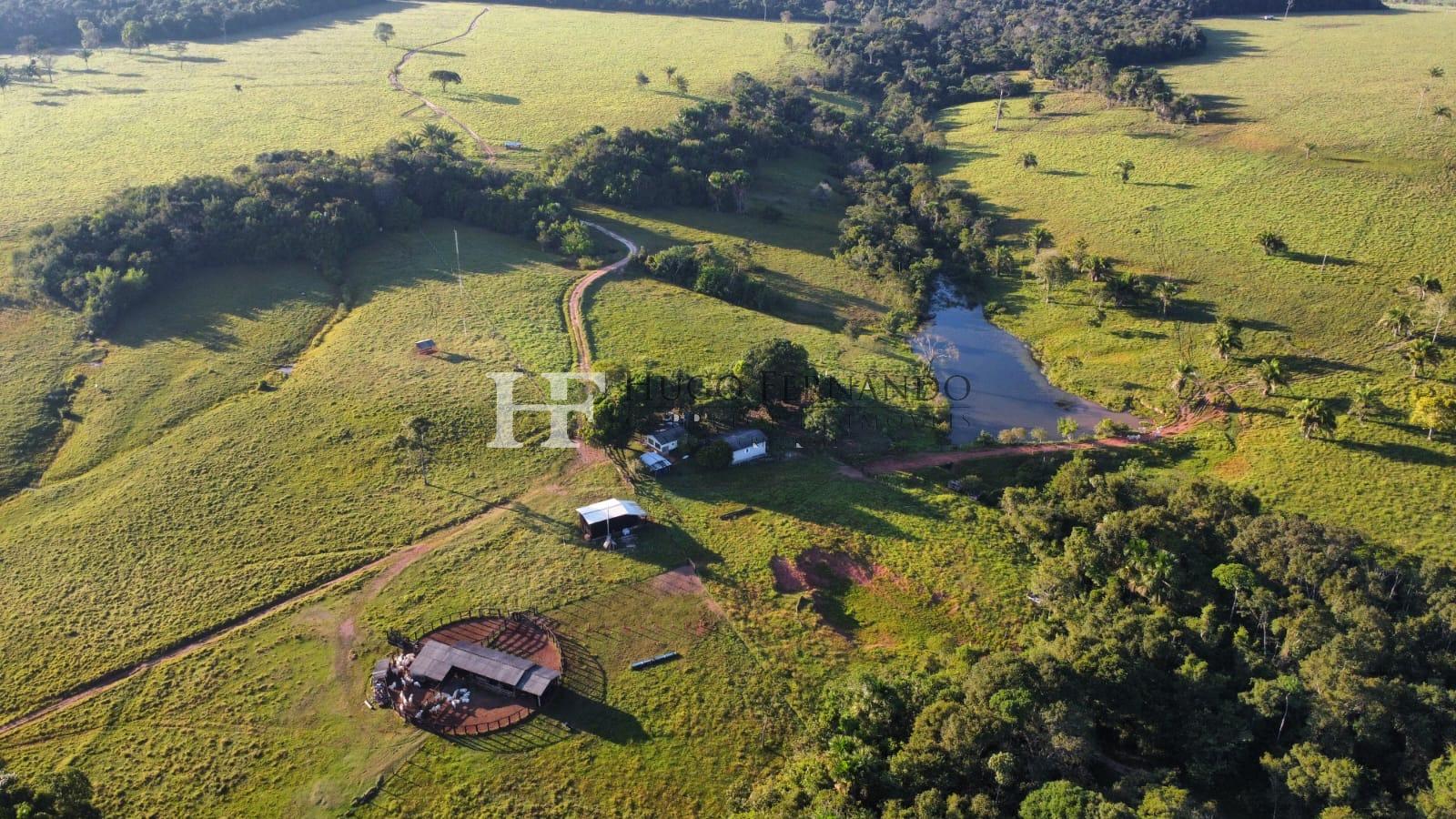 Fazenda à Venda 509,84 Hectares, Chupinguaia - RO