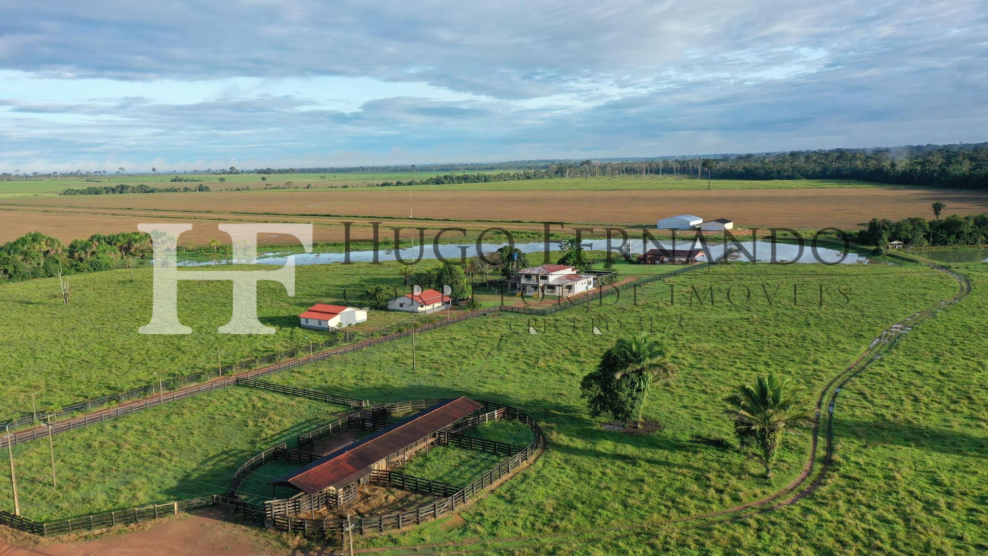 Fazenda pronta para produzir, 2323 Hectares de Dupla Aptid?o