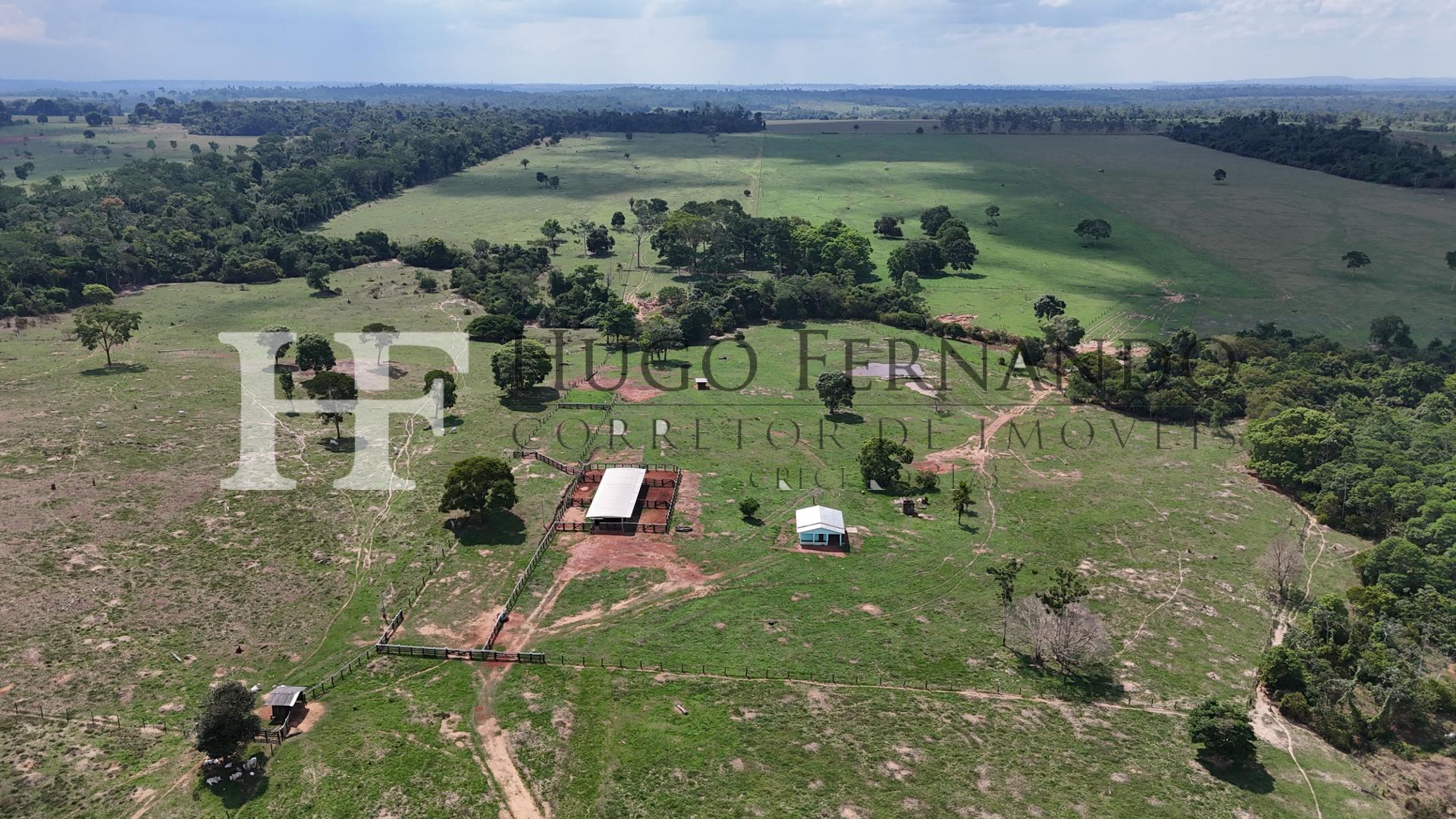 Fazenda à venda, 203 Hectares, Dupla Aptidão, Castanheiras RO