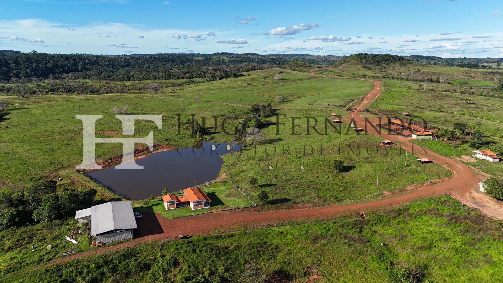 Fazenda à Venda 2420 Hectares, para pecuária em Alta Floresta ...