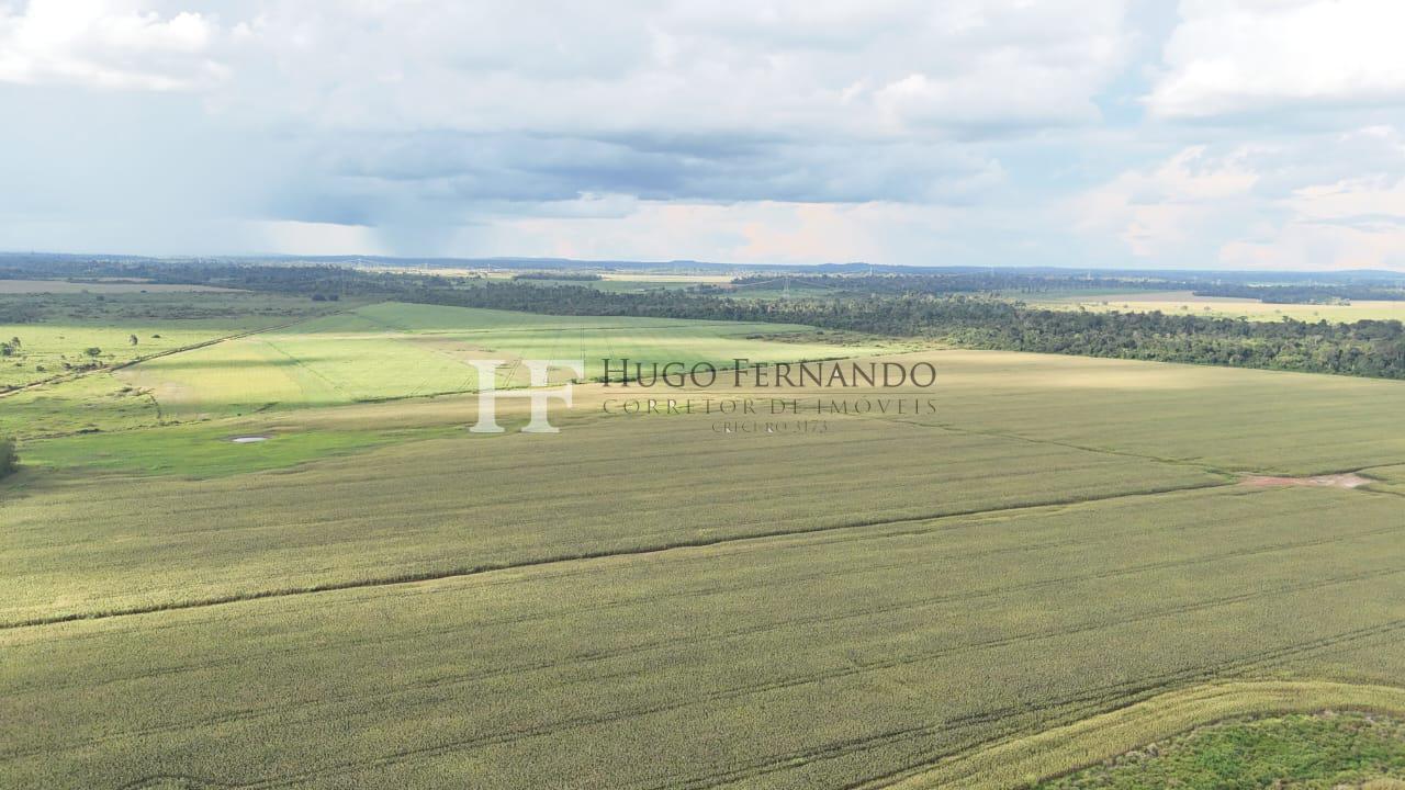 Fazenda À Venda 1050 Hectares, 433 Alqueires, Triunfo RO