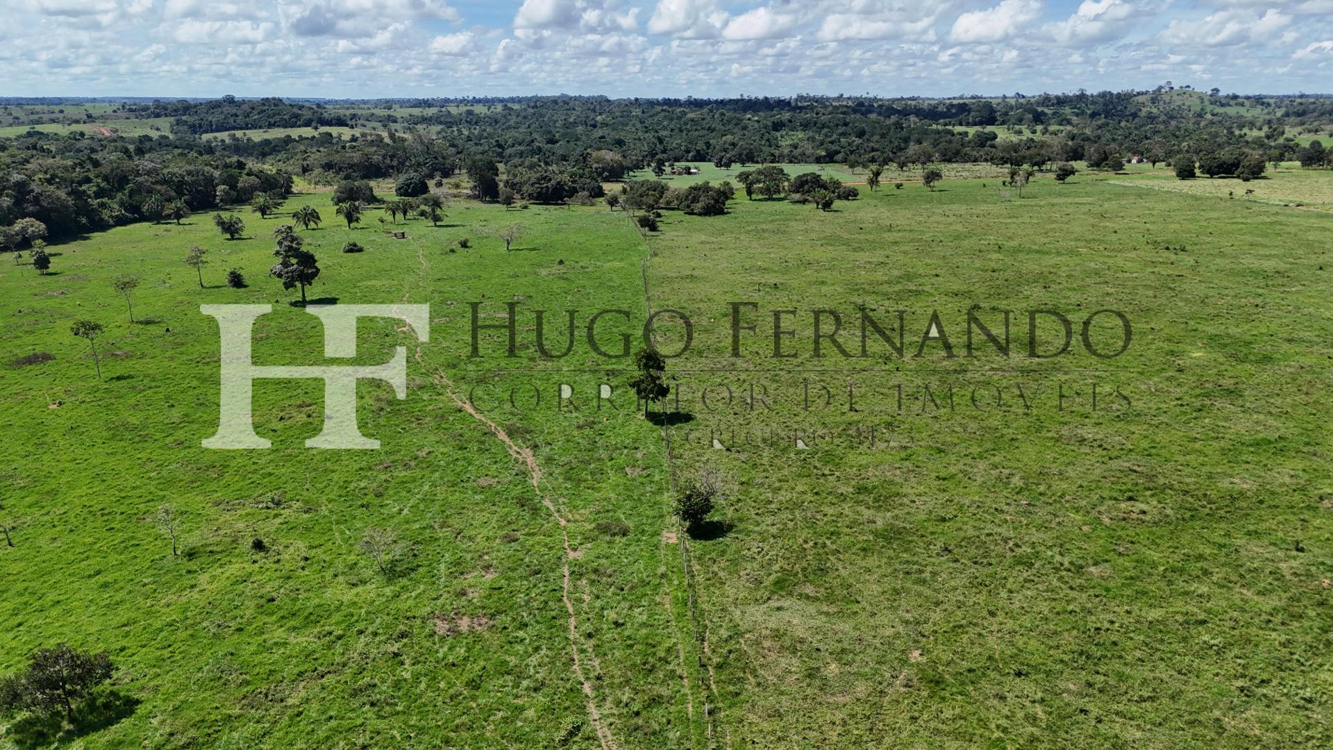 Sitio À Venda 41,45 Alqueires em Novo Horizonte - RO