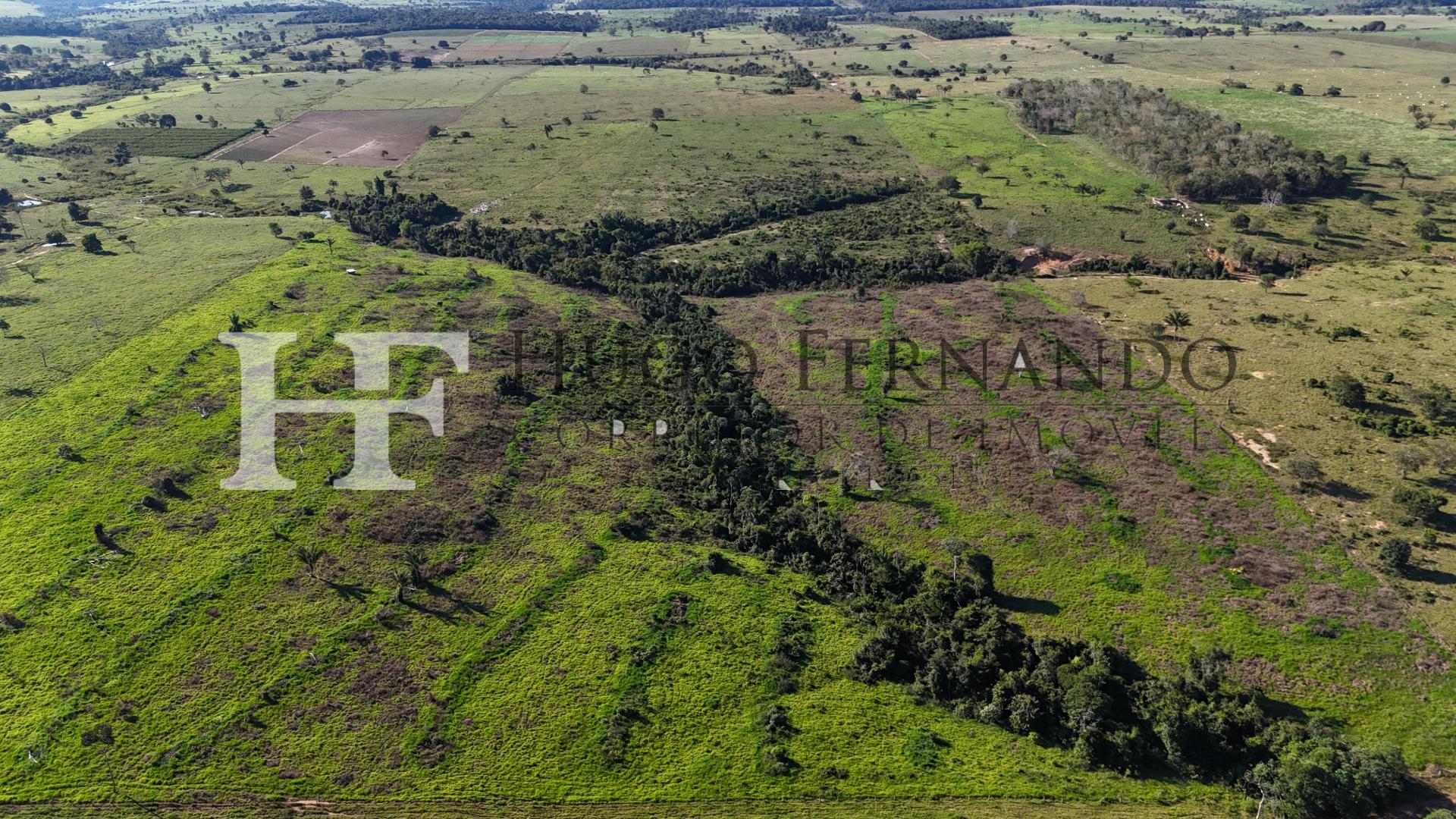 Sitio À Venda 36 Alqueires em Pimenta Bueno - RO
