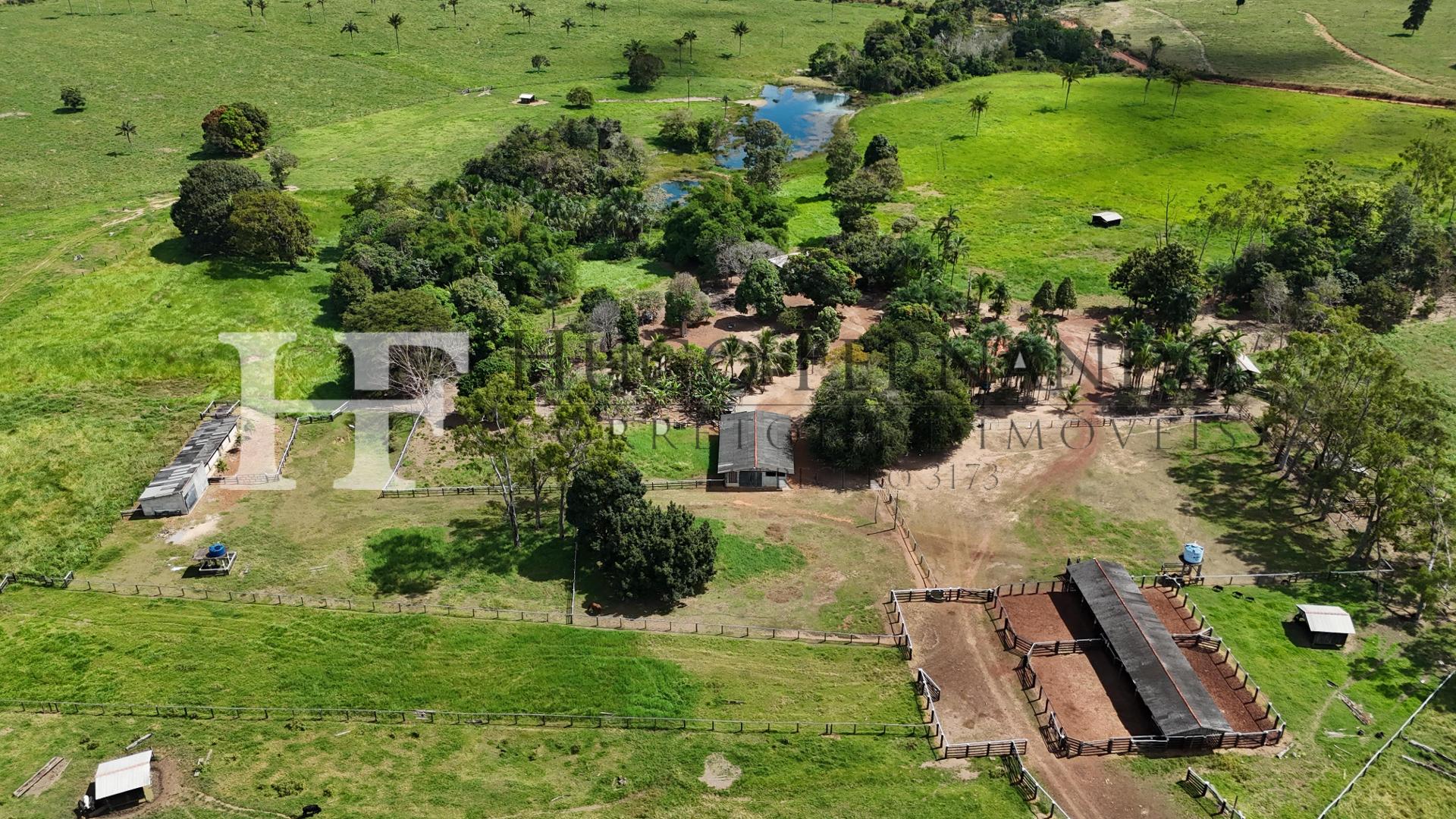 Fazenda À Venda 224 Hectares em Cacoal - RO