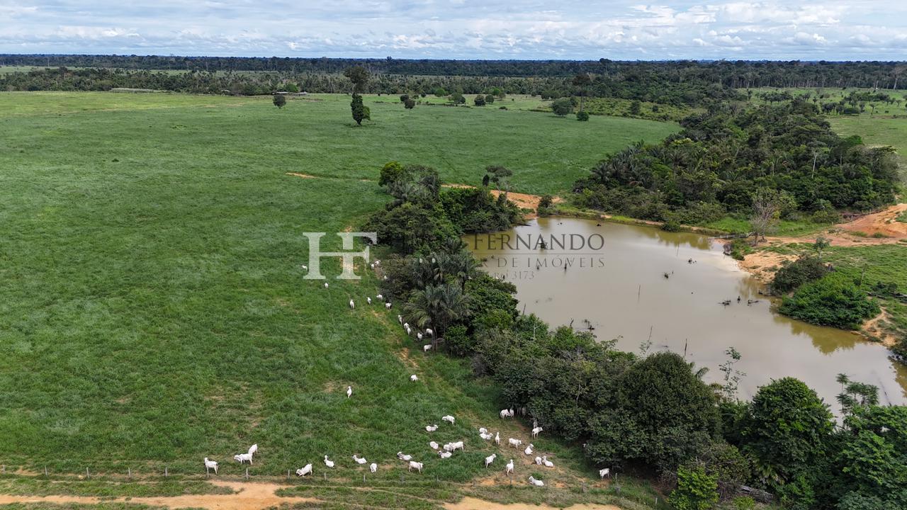 Excelente  Fazenda  à  Venda em Rondônia 822,8 Hectares