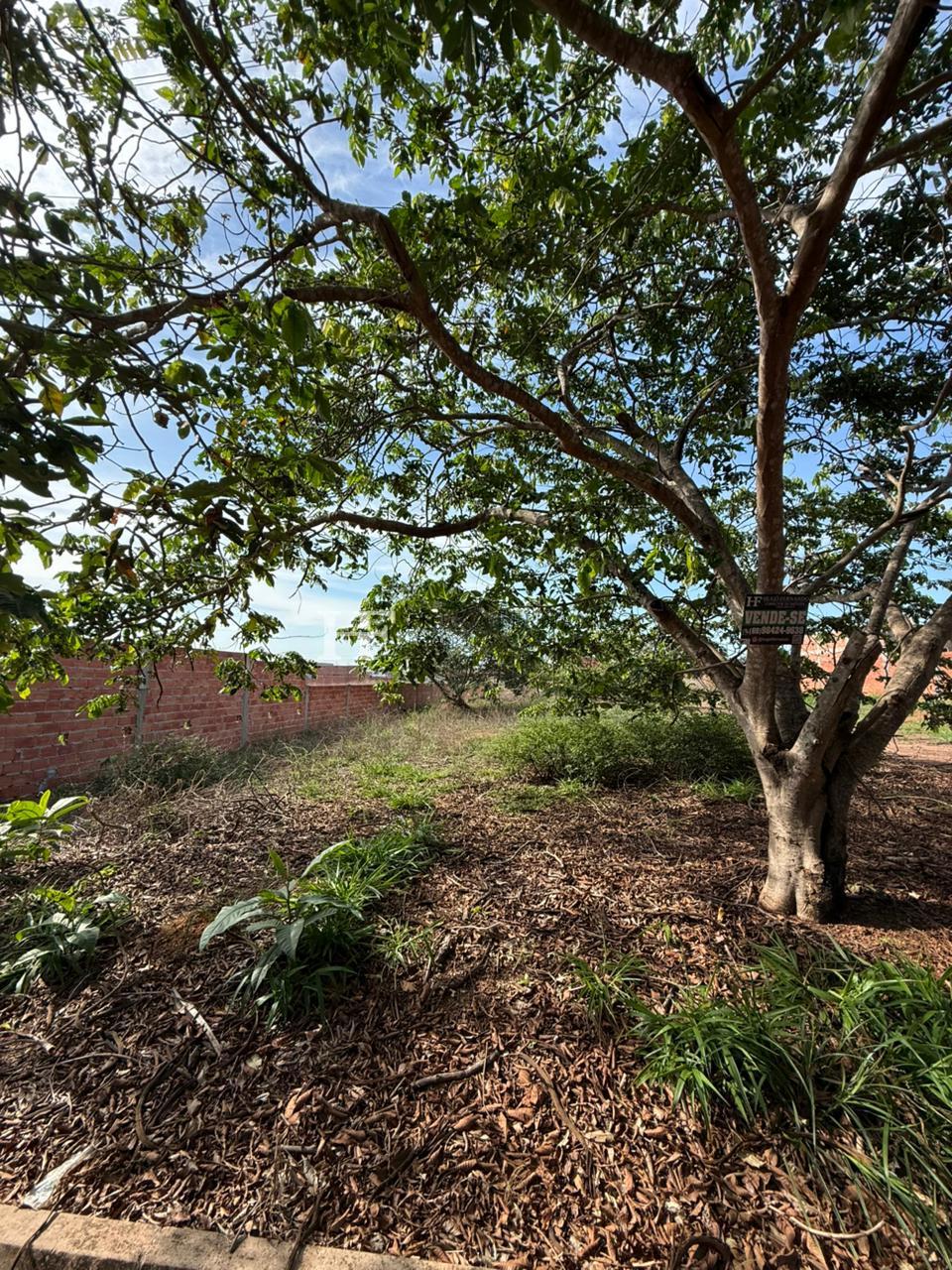 Terreno ? Venda  12x32   384m2 , Bairro  Jequitib?   Rolim de ...