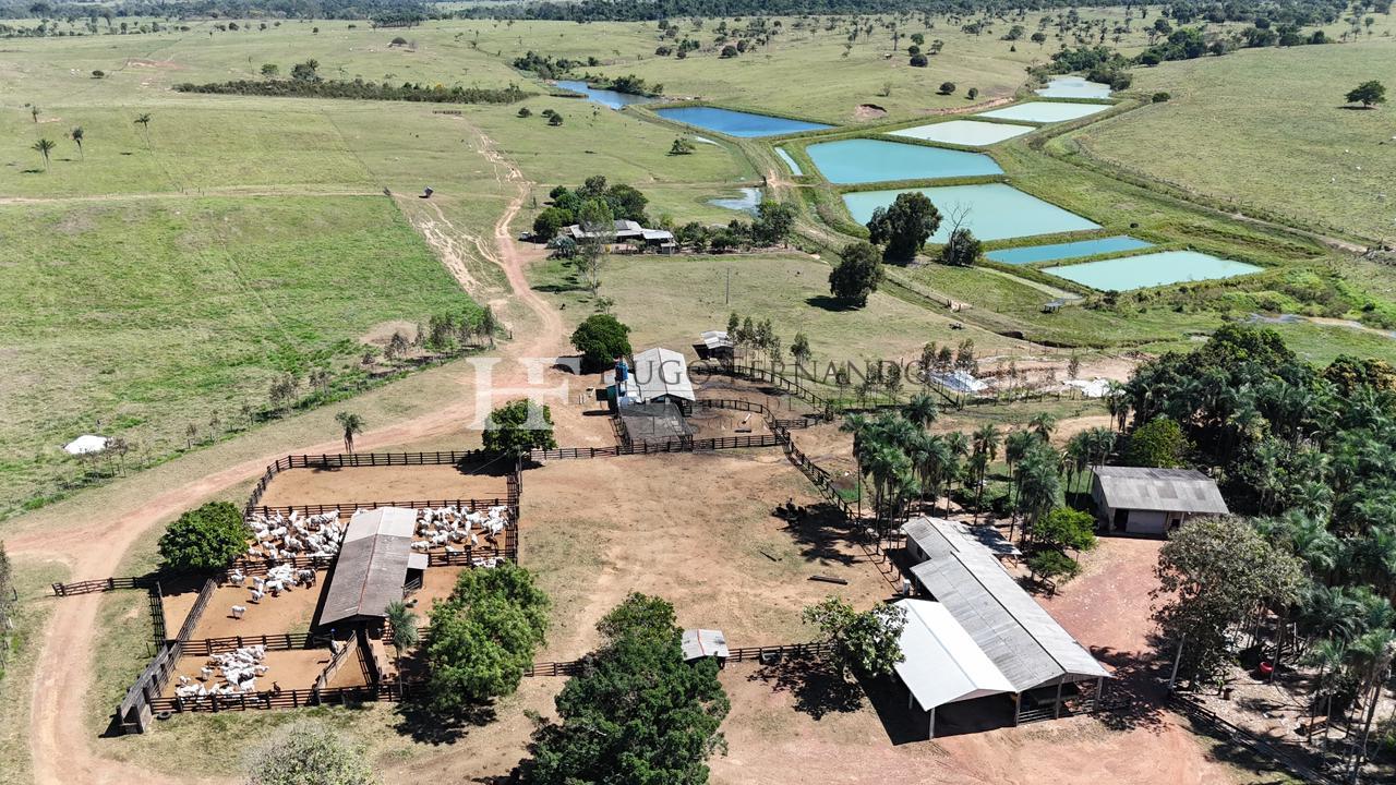 Fazenda ? Venda ?rea Total  320 Alqueires, 774 Hectares - Alvo...
