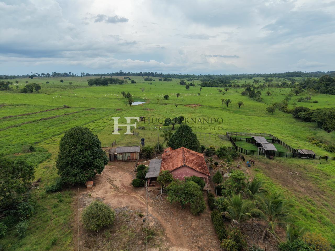 Excelente Fazenda Pronta para Pecu?ria em RO.