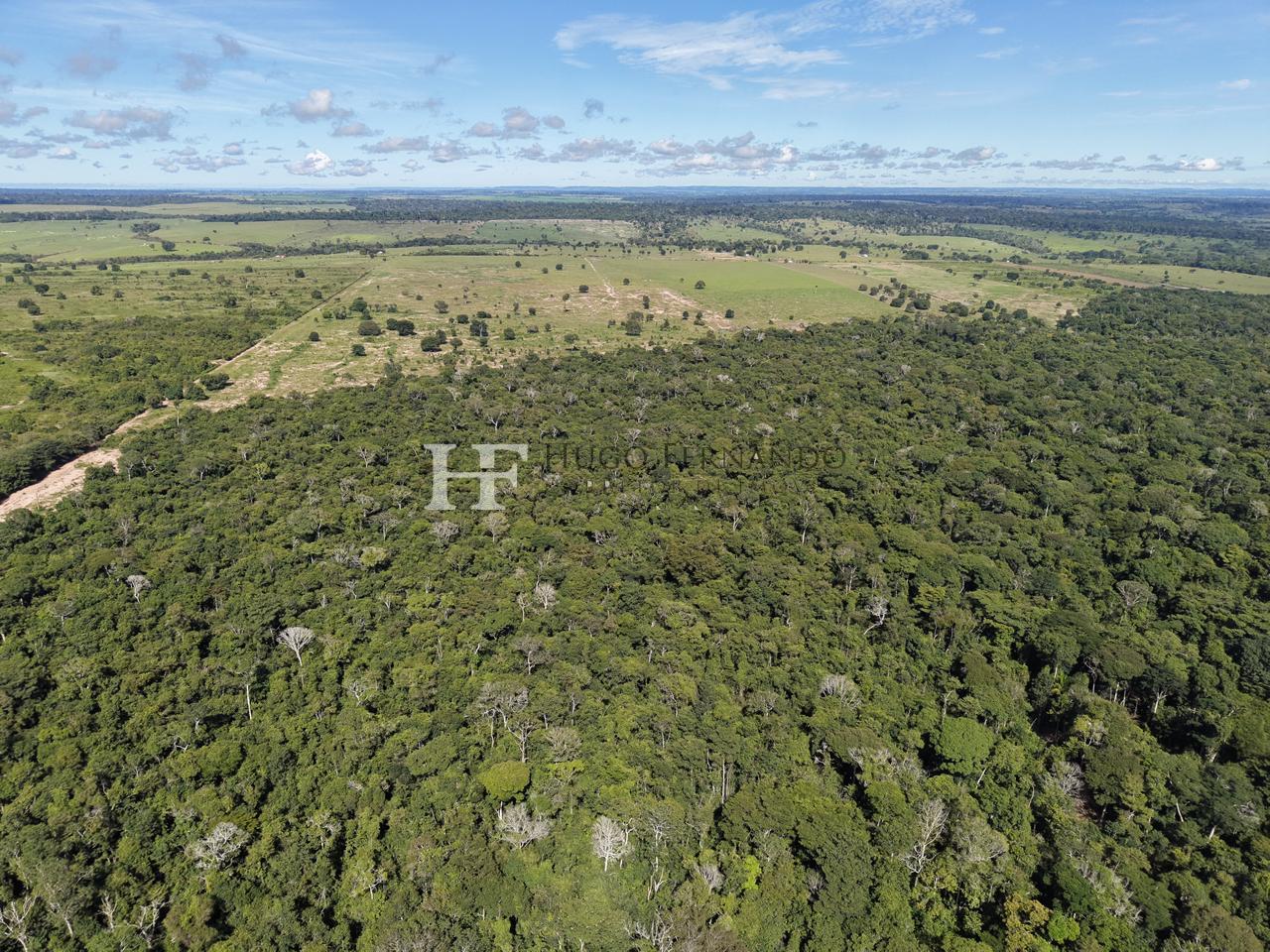 Sitio À Venda - 145 hectares, 60 alqueires em Parecis RO
