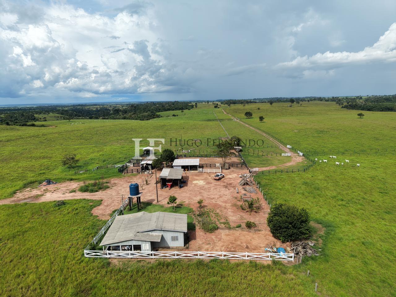 FAZENDA ? VENDA 105 ALQUEIRES - 254 HECTARES, EM CHUPINGUAIA - RO