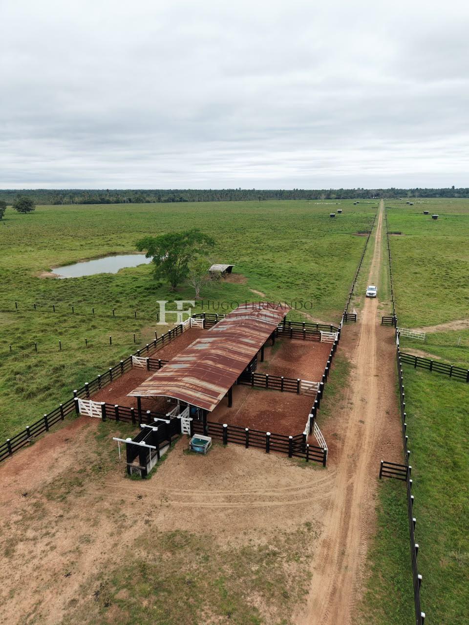FAZENDA Á VENDA 198 ALQUEIRES, 479,16 HECTARES,  EM ALTO ALEGR...
