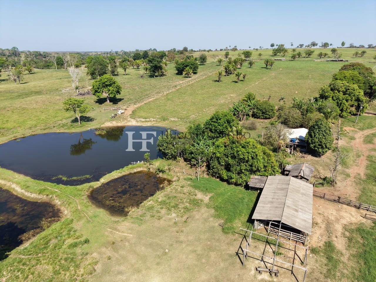 FAZENDA ? VENDA, 326,7 HECTARES E 135 ALQUEIRES EM PIMENTA BUE...