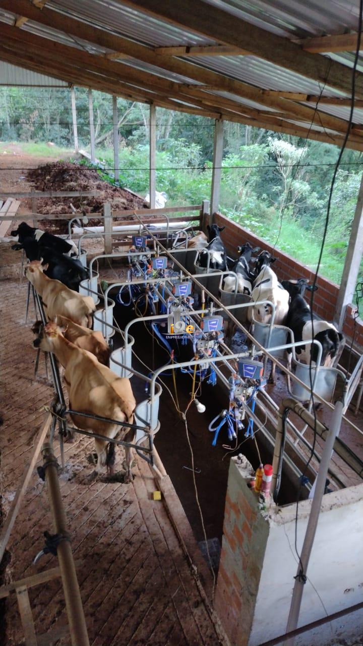 I9e Empreendimentos em Galv�o SC