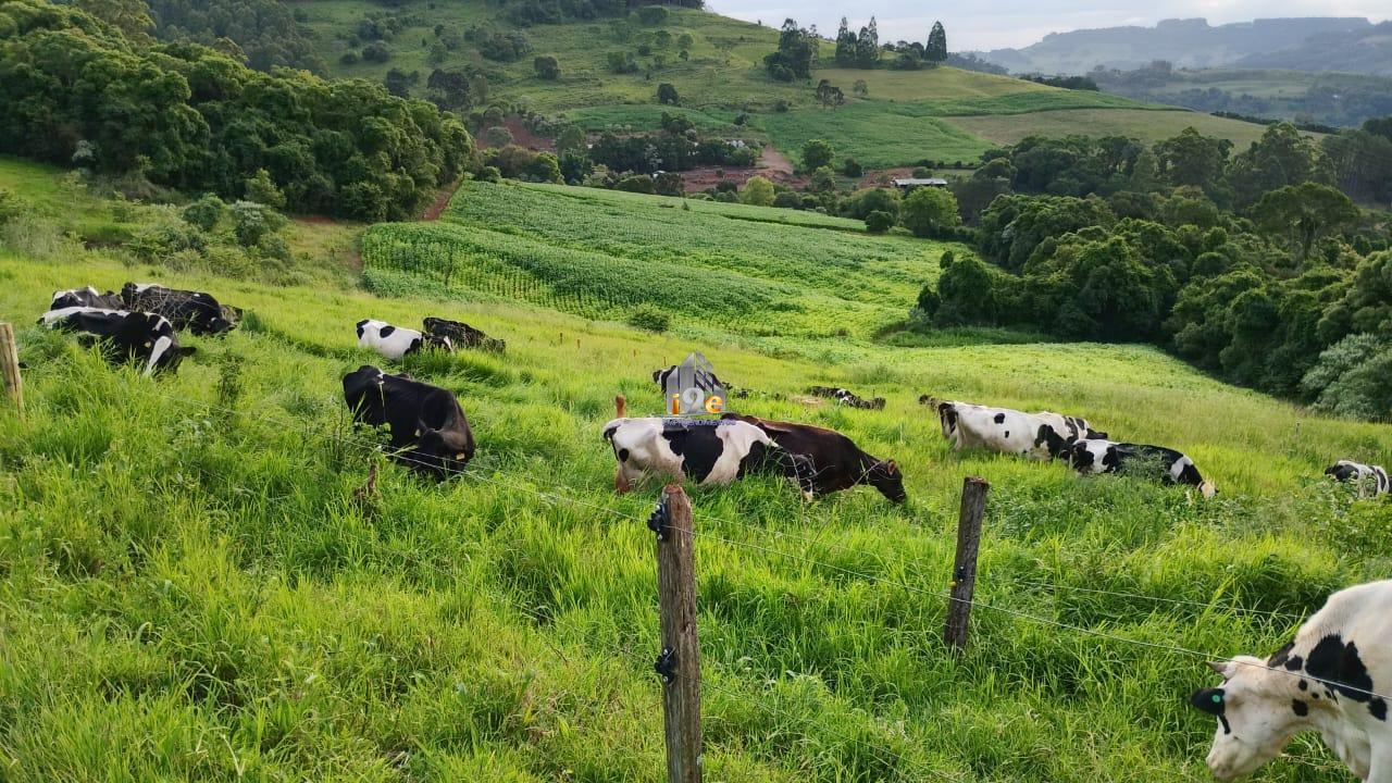 Rural � venda, INTERIOR, XAVANTINA - SC