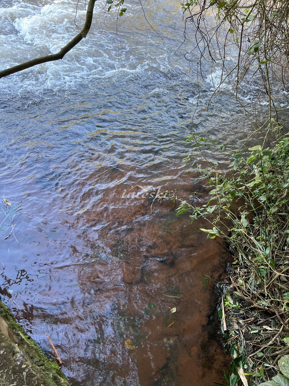 Chácara a venda com 20.000m2 de área em São Miguel do Iguaçu - PR