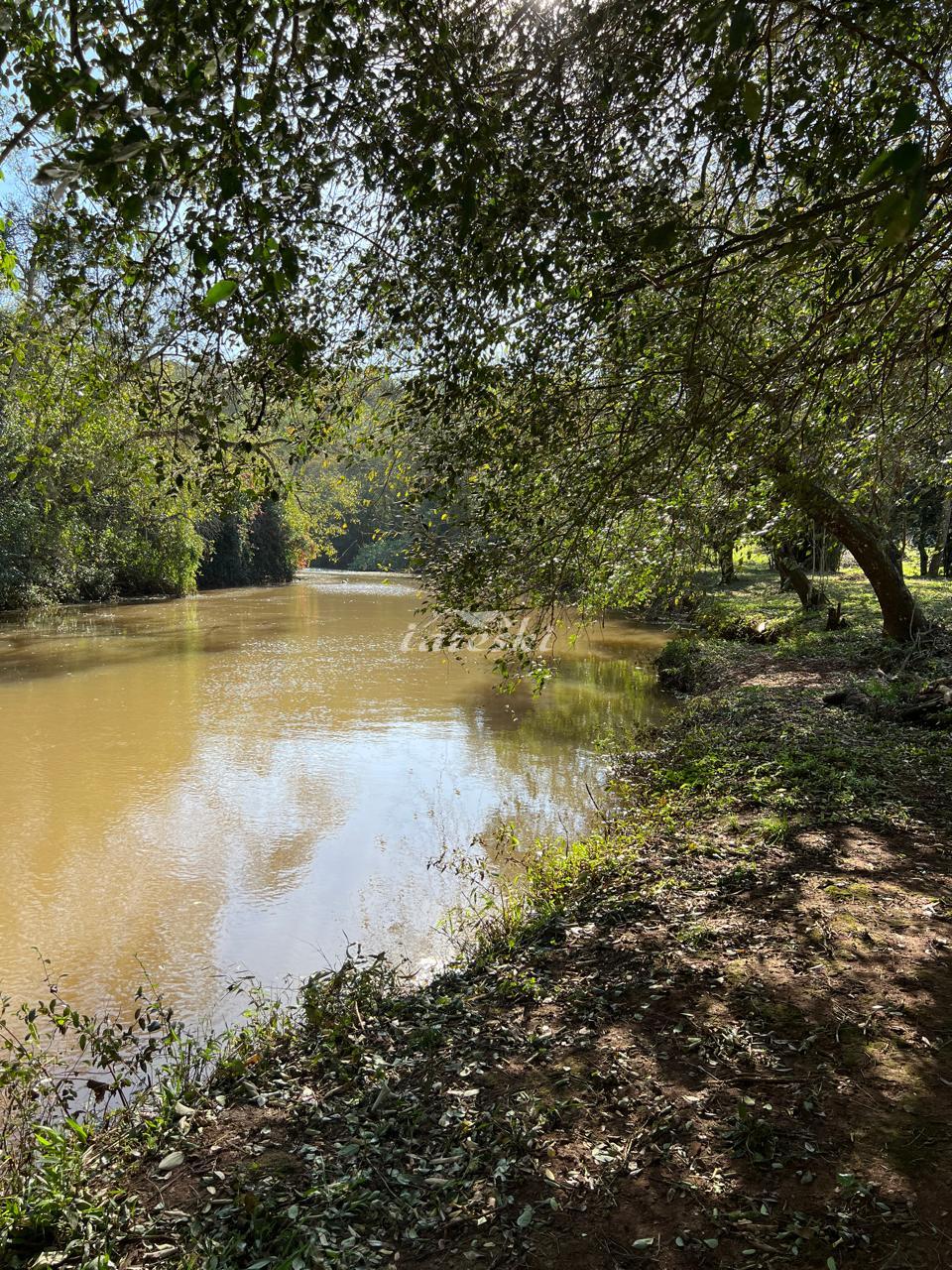 Chácara a venda com 20.000m2 de área em São Miguel do Iguaçu - PR