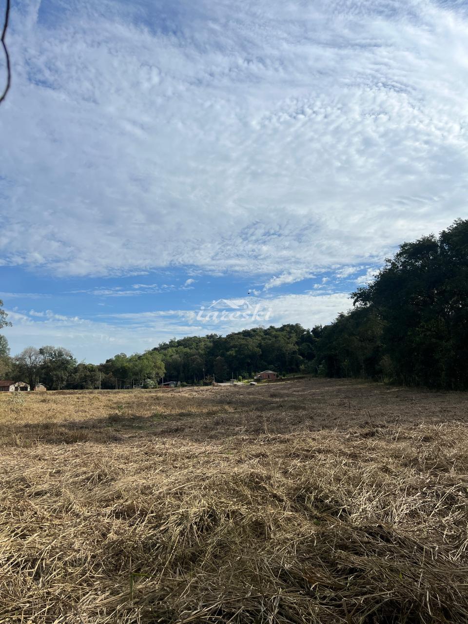 Chácara a venda com 20.000m2 de área em São Miguel do Iguaçu - PR