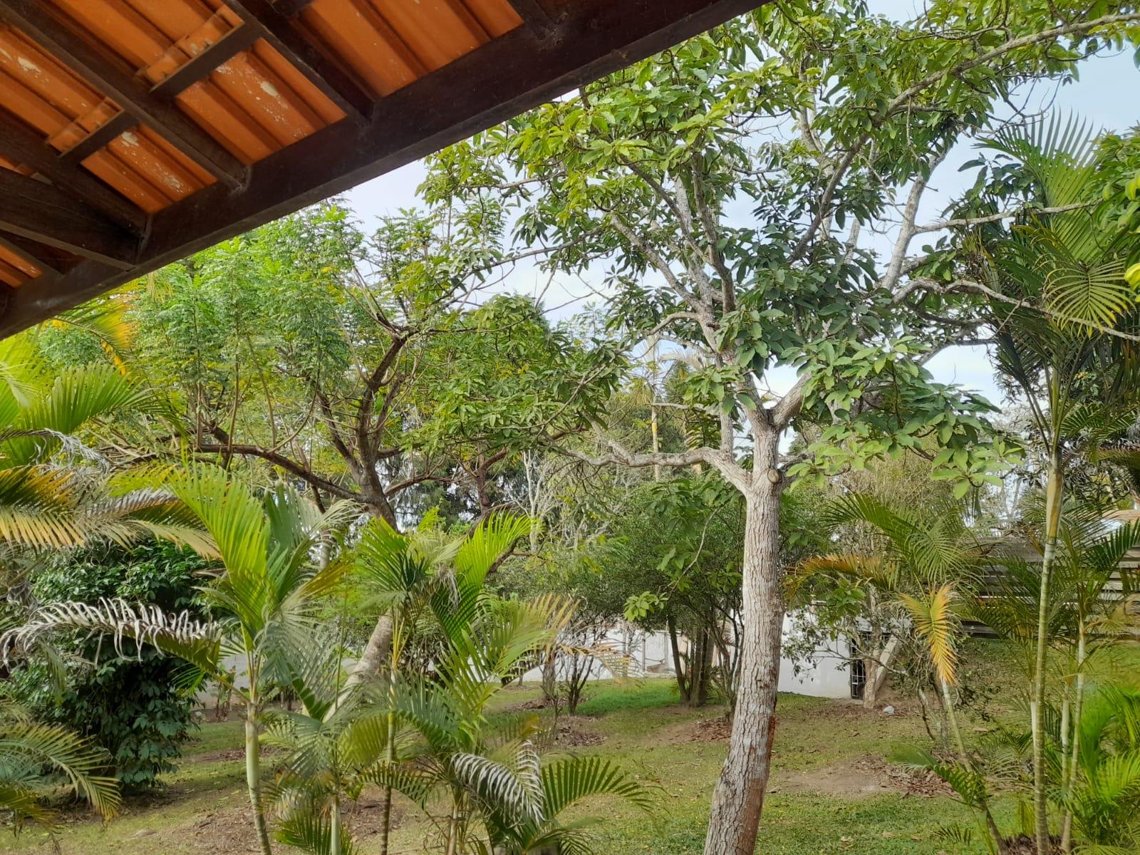 Chácara em IBIUNA - SP