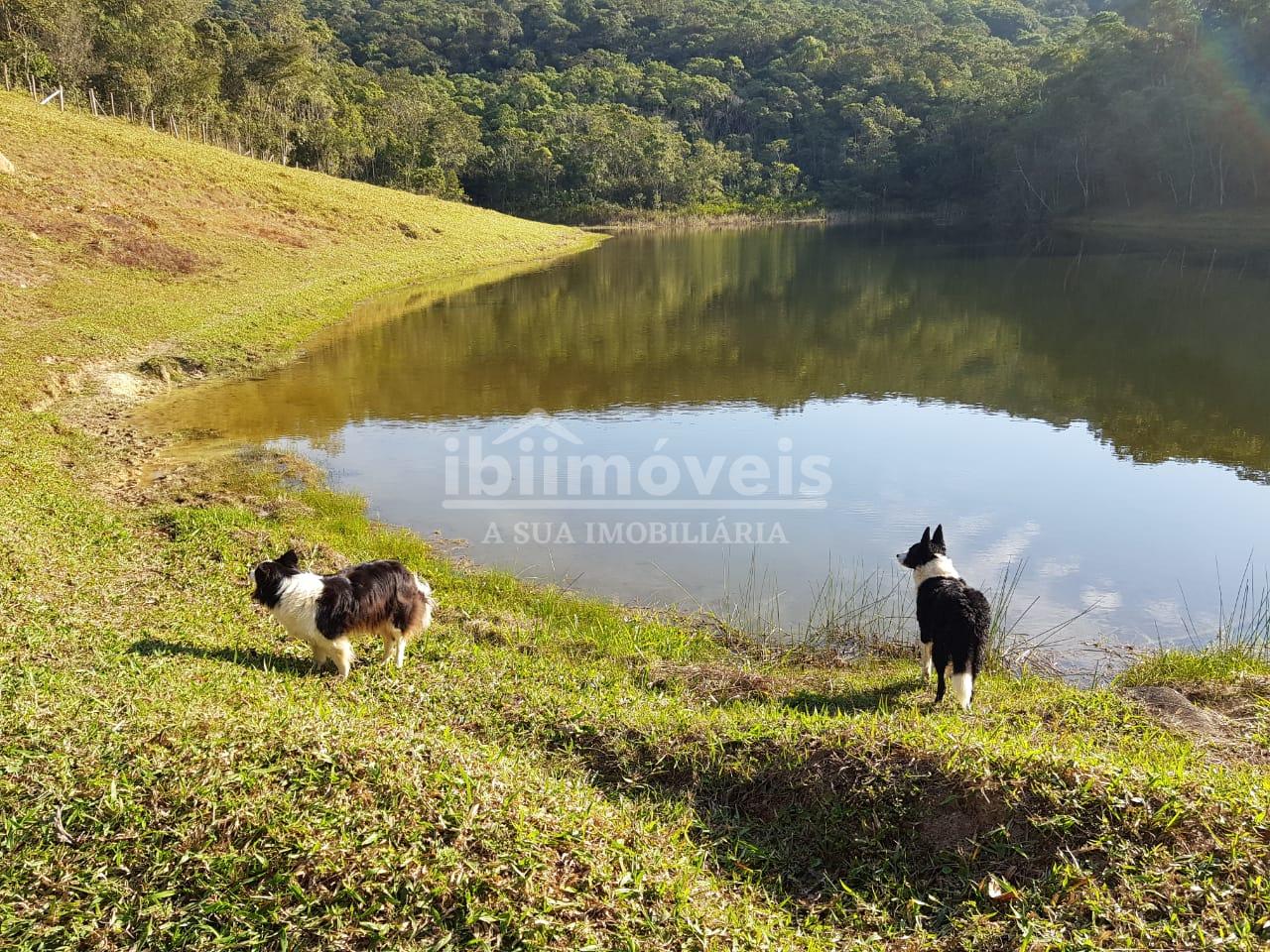 Sítio à venda com 7 alqueires