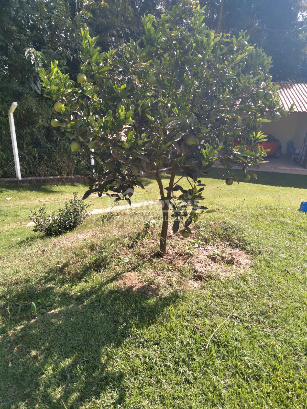 Chácara à venda bem localizada