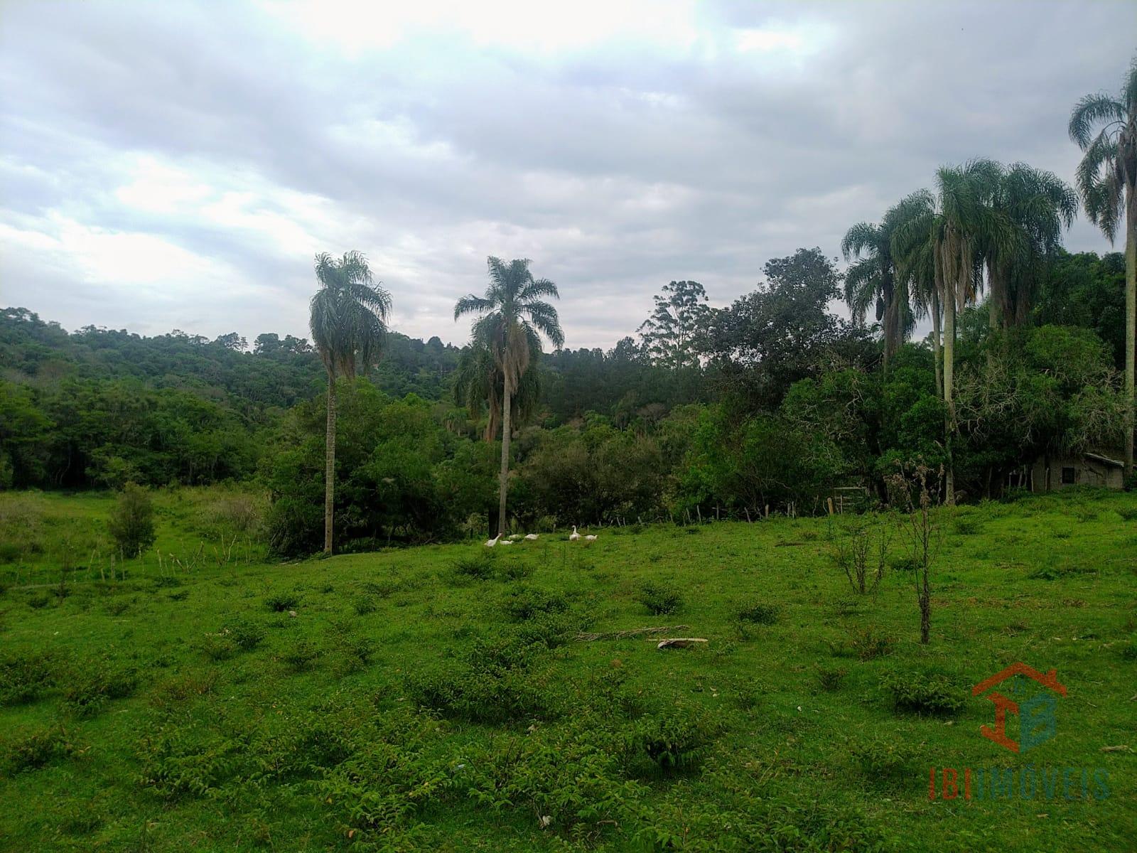 Sítio com 72.000m  em Ibiúna   