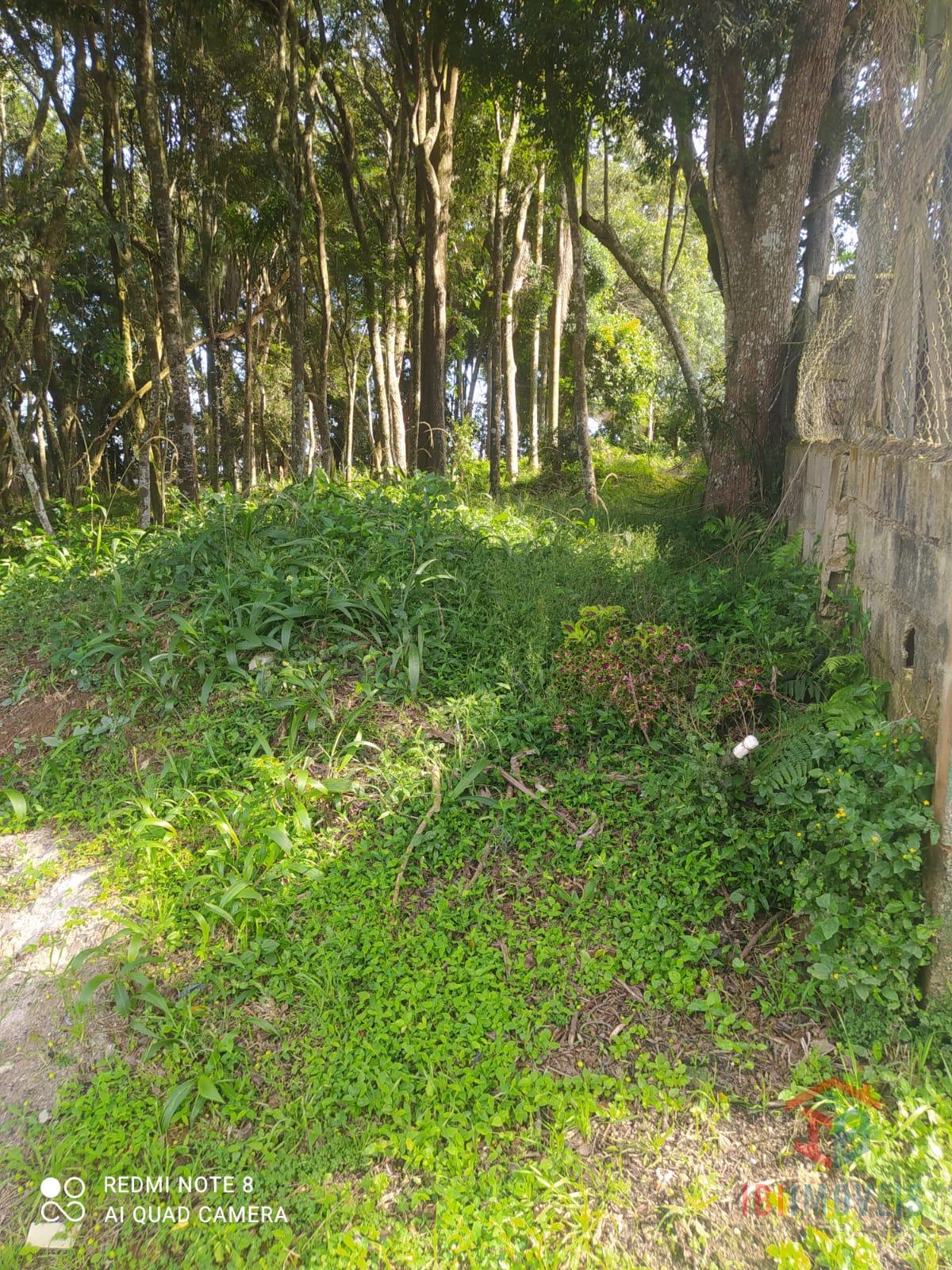 Terreno à venda, CENTRAL PARK, IBIUNA - SP